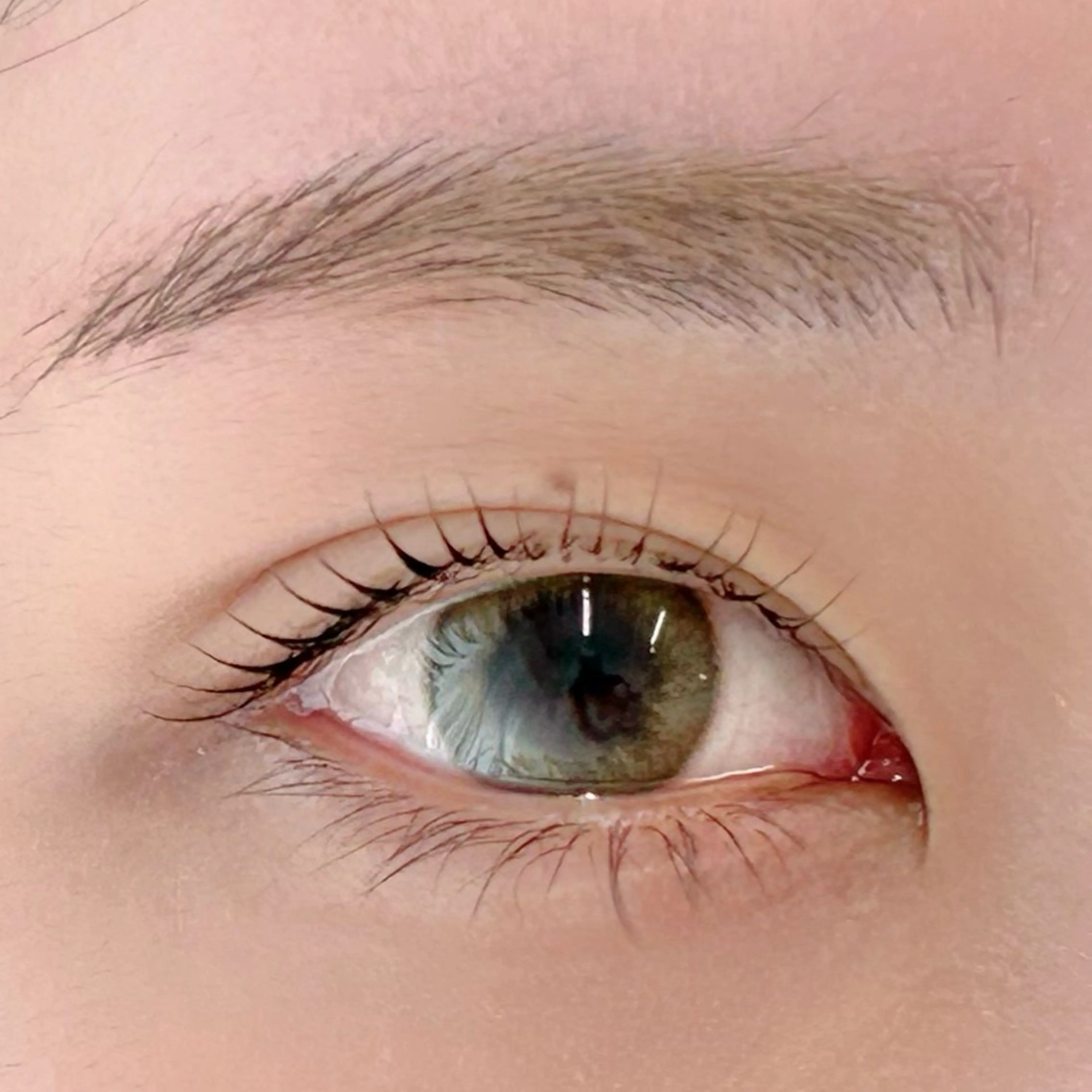 マツエク・マツパ ナチュラル 一重×まつ毛パーマ BellFlower Aki（眉・まつげ）のマツエク・マツパデザイン