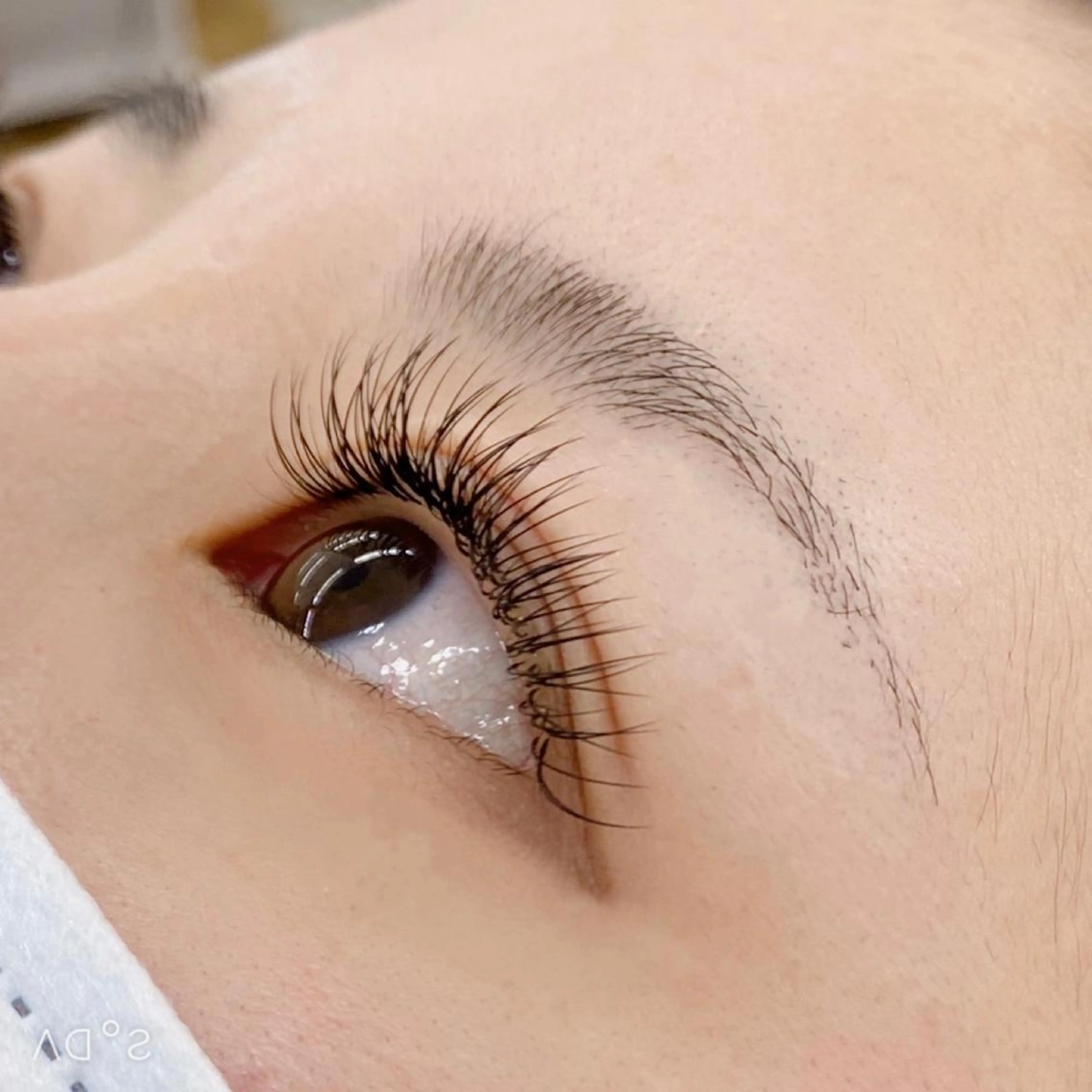⭐️【最高級セーブルエクステ】⭐️上まつ毛140本まで（オフ込み）の写真