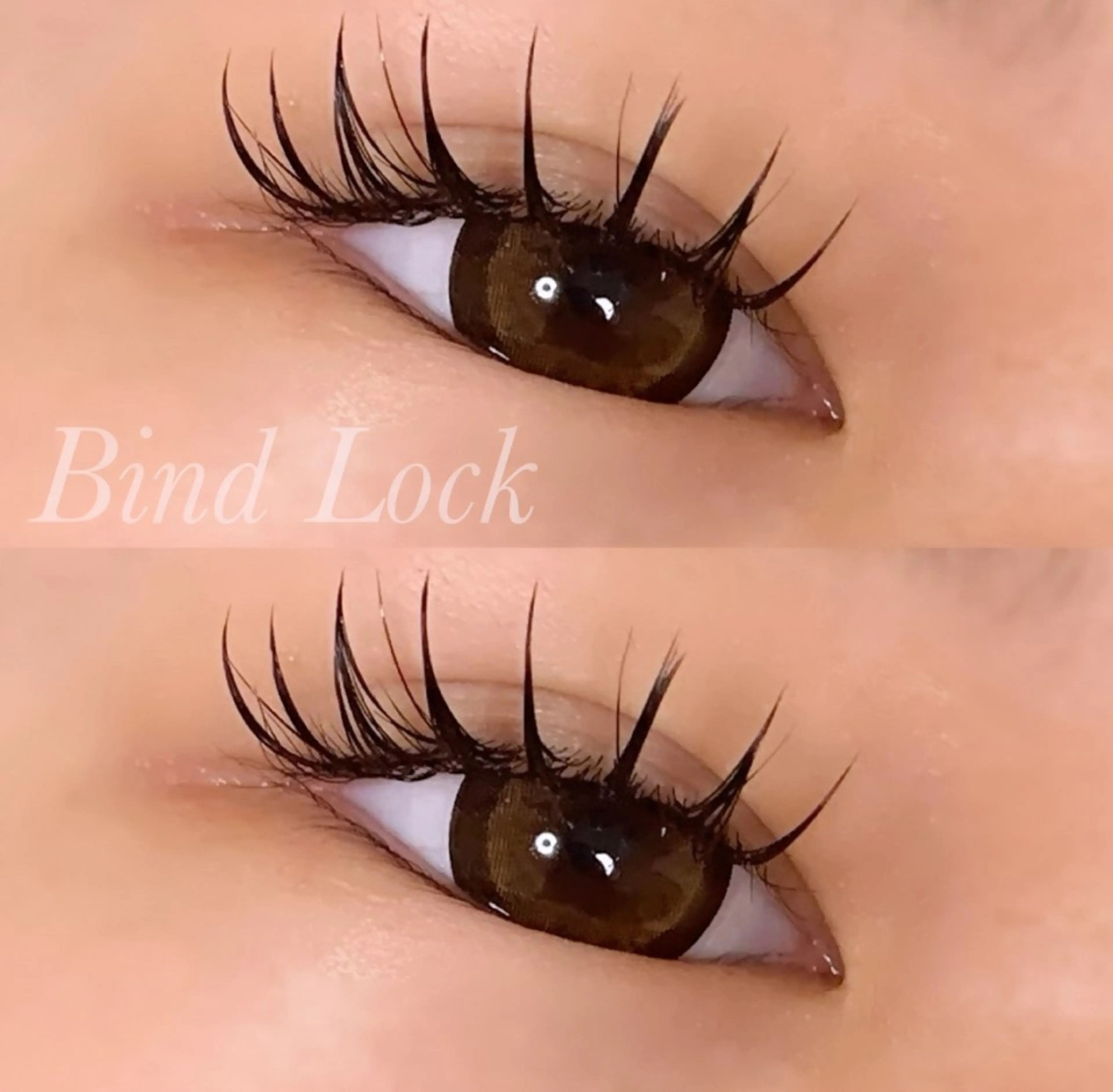 マツエク・マツパ バインドロック Cカール マツエク Ayumi.pro 🍆N《4階》のマツエク・マツパデザイン