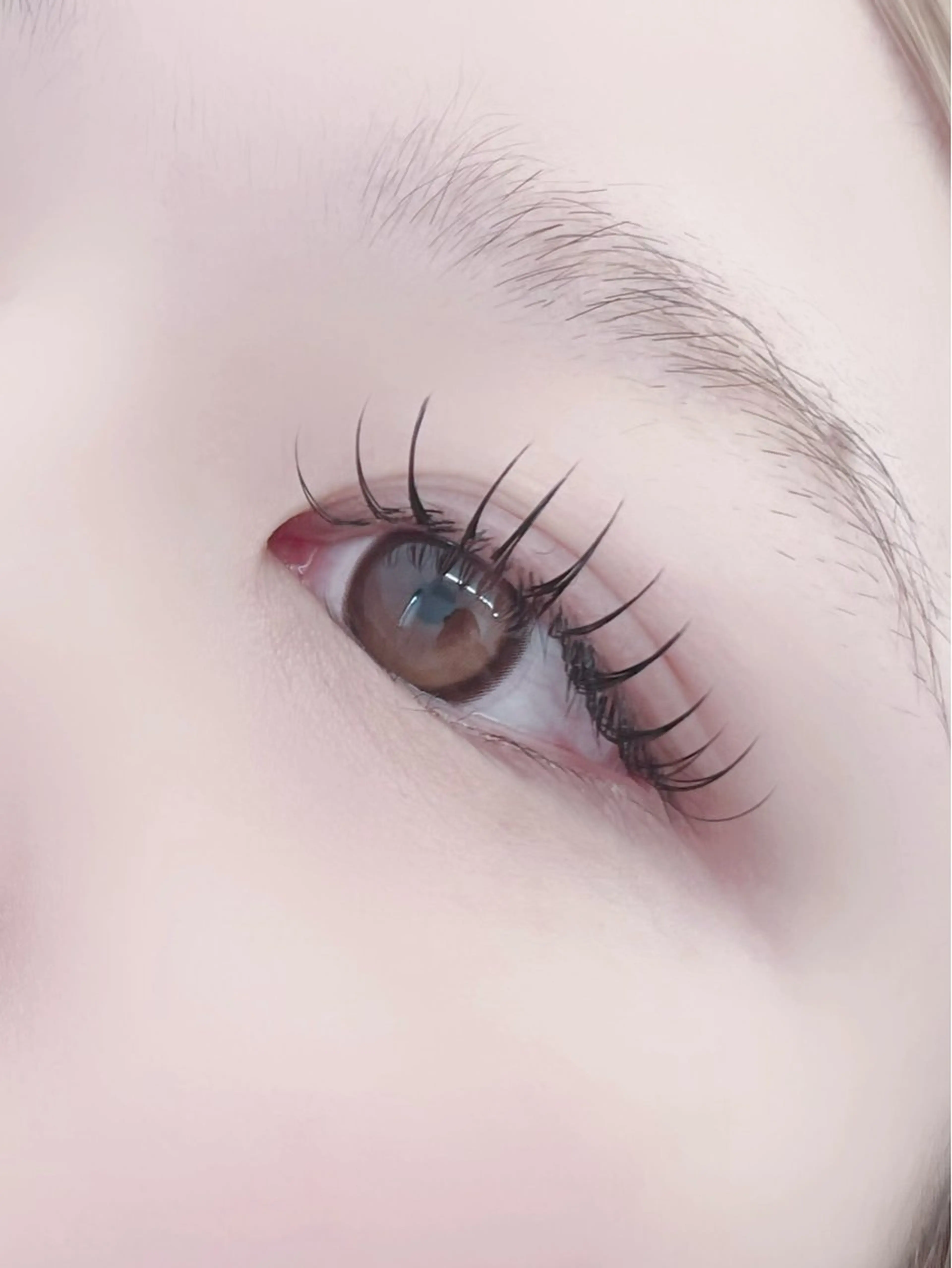 マツエク・マツパ Dカール フラットラッシュ Lカール マツエク Moe🤍Moon Doll Eyeのマツエク・マツパデザイン