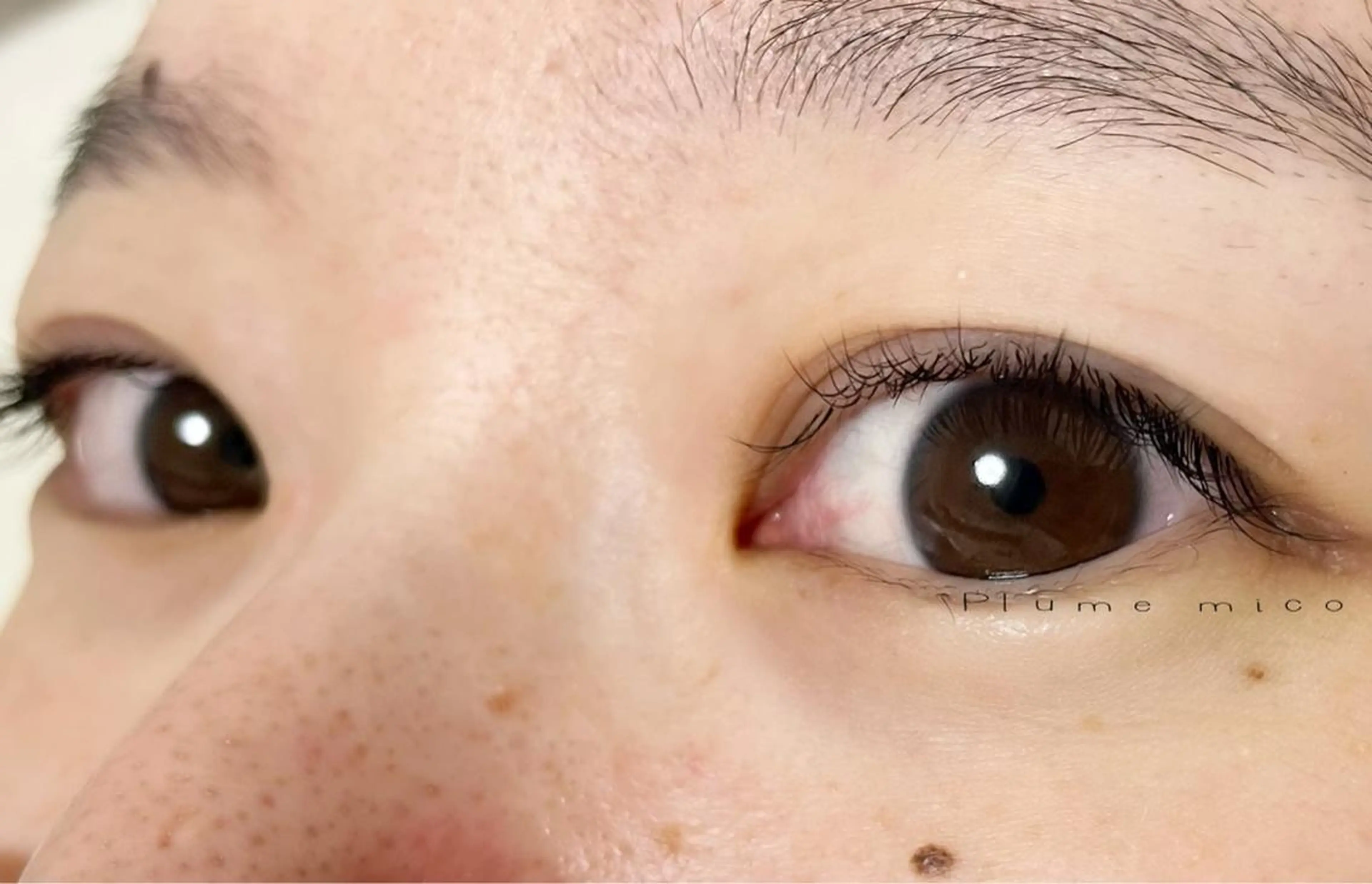 マツエク・マツパ マツエク Plume micoのマツエク・マツパデザイン