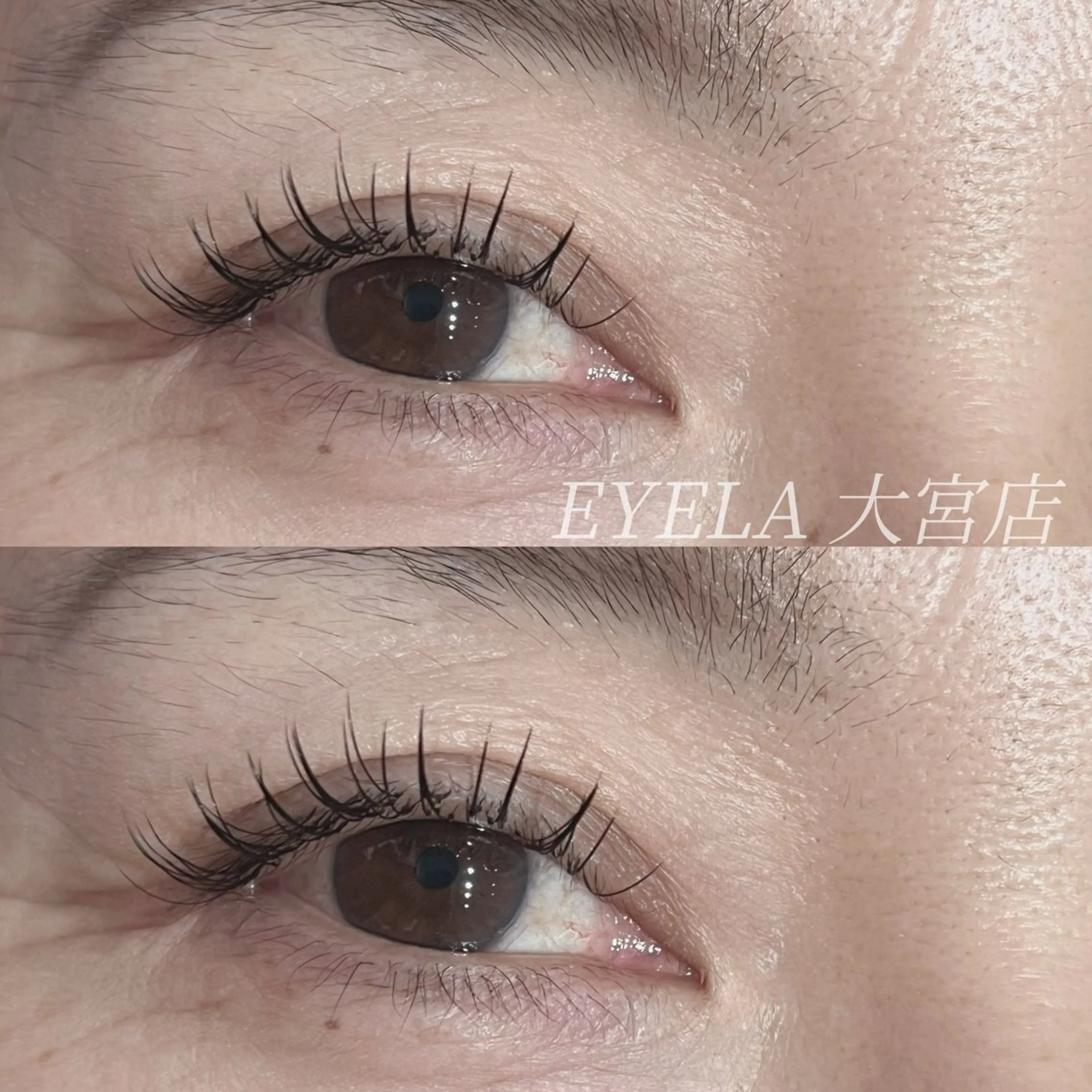 マツエク・マツパ フラットラッシュ 渡部 範子のマツエク・マツパデザイン