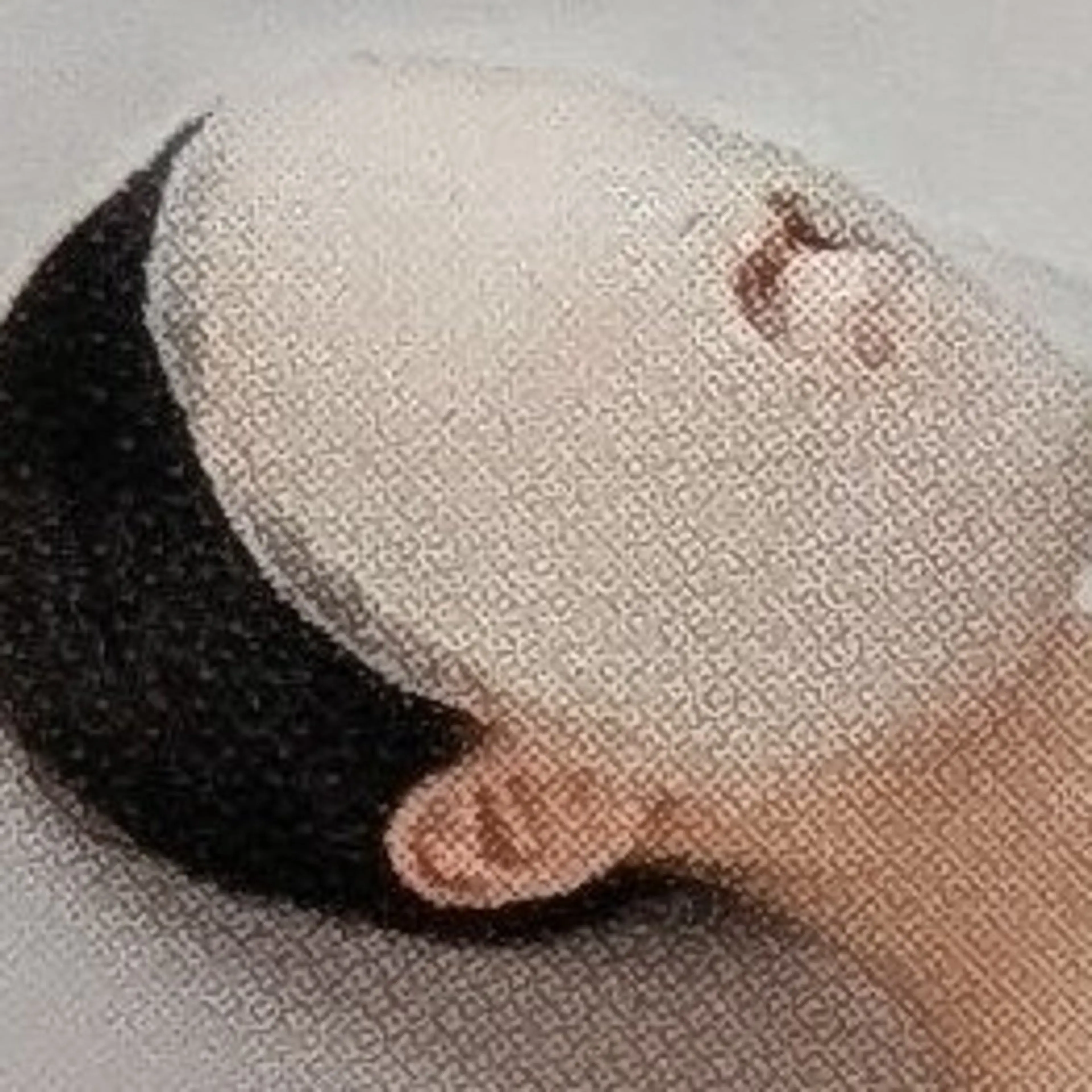 ◉エイジング　ハリケア【ハリ肌】の写真