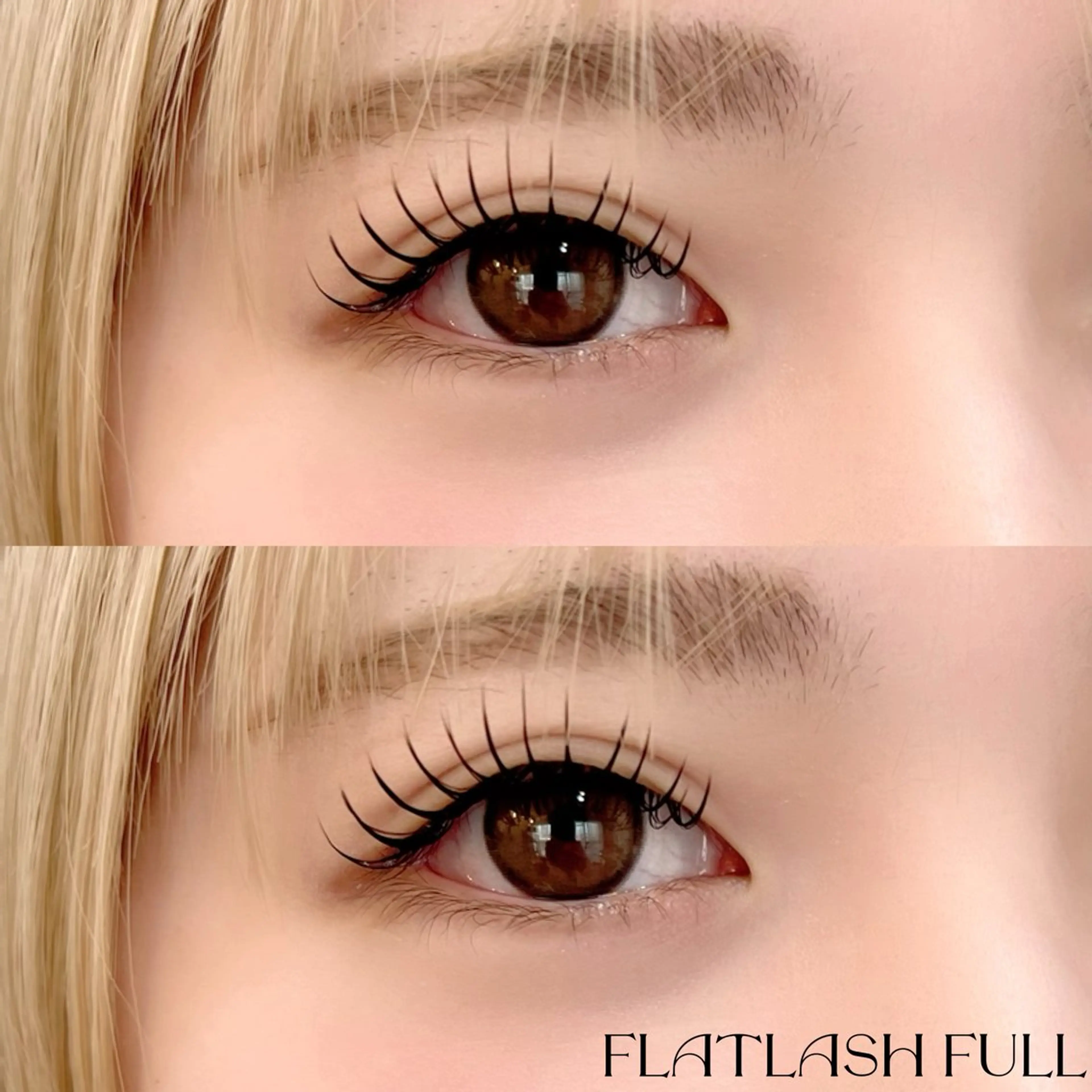 ご新規様🌷フラットマットラッシュ付け放題  オフコーティング込みの写真