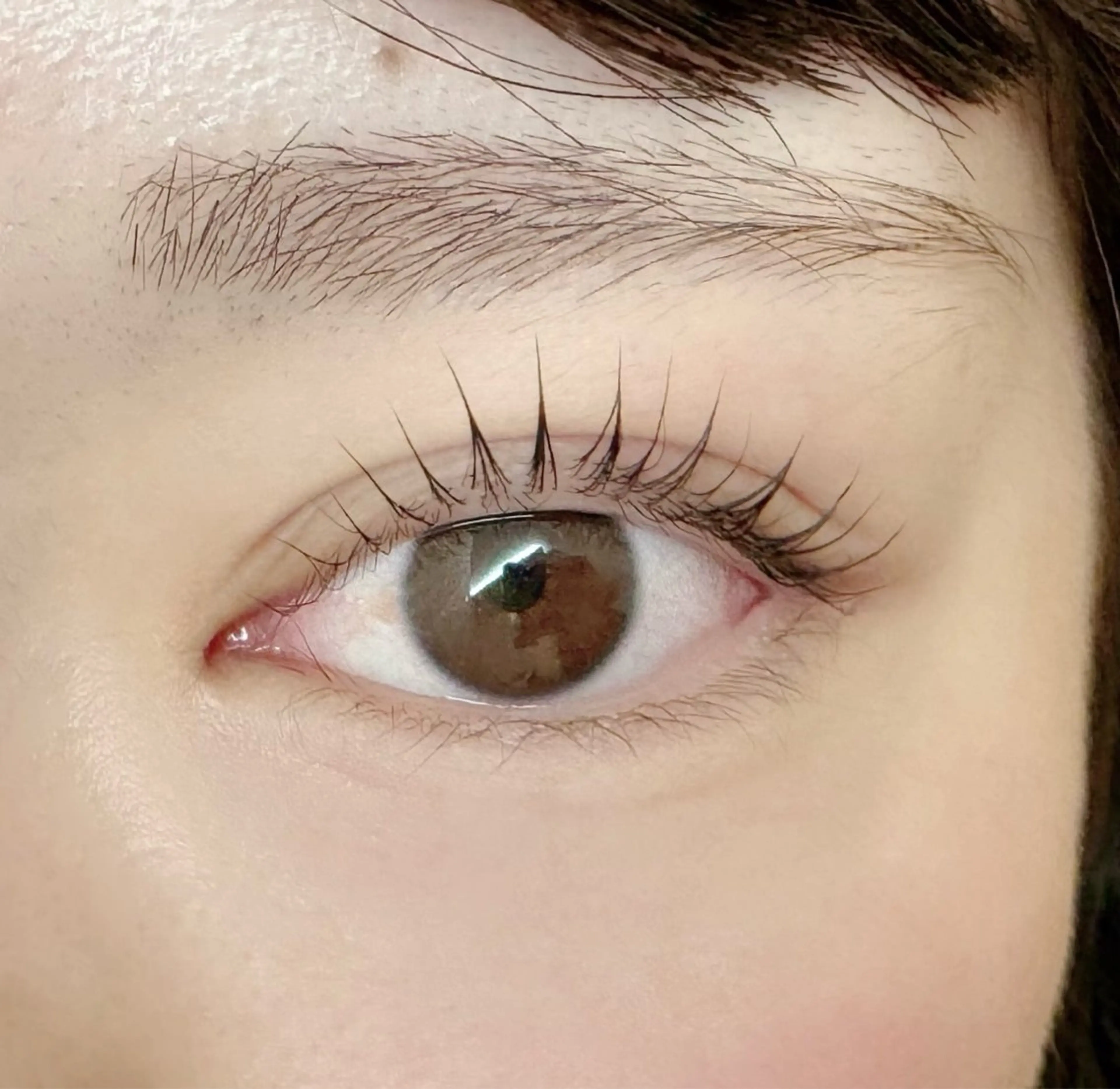 🎄12月限定！まつげパーマorパリジェンヌ🎄の写真