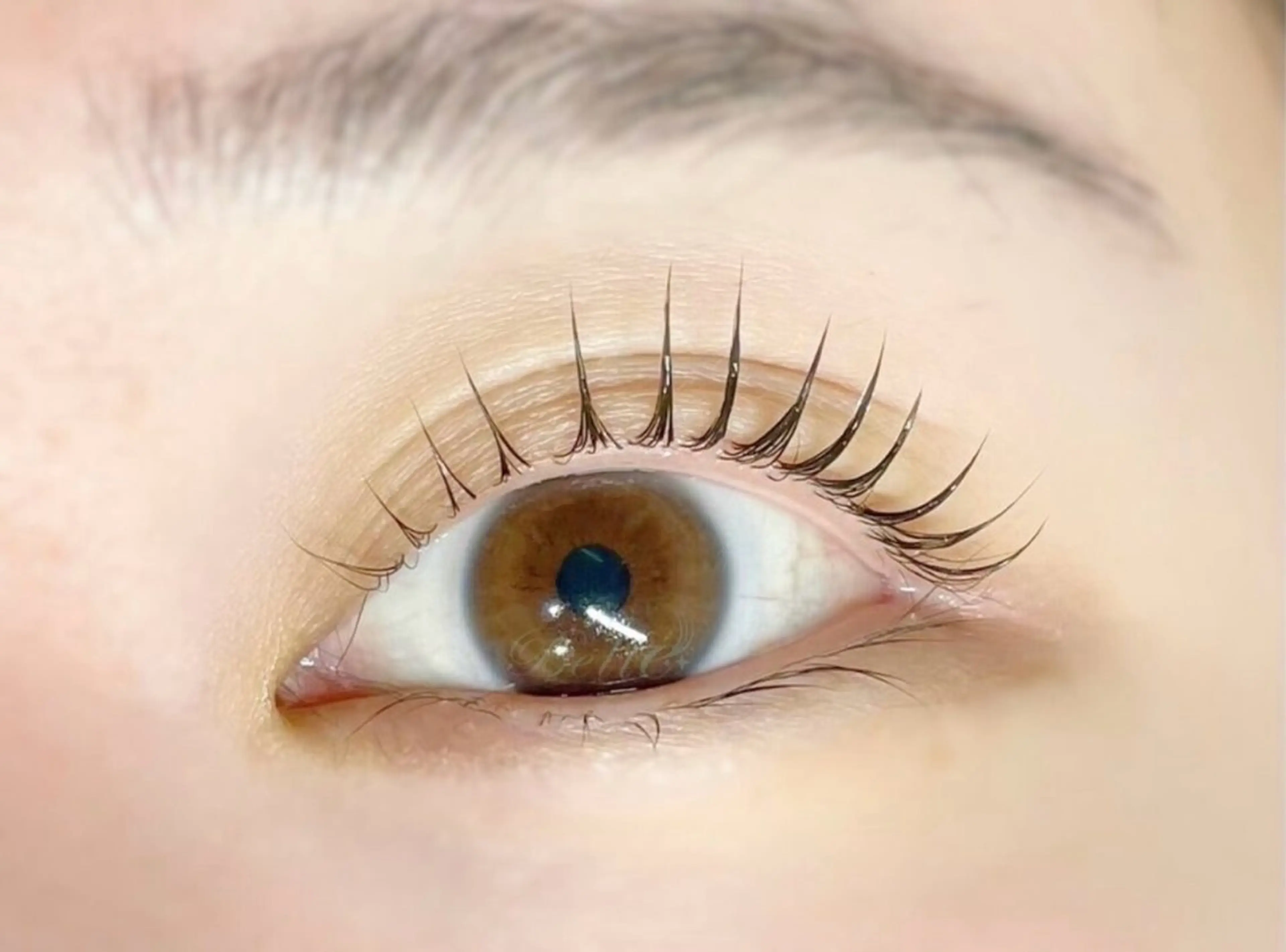 マツエク・マツパ Belle 乾のマツエク・マツパデザイン