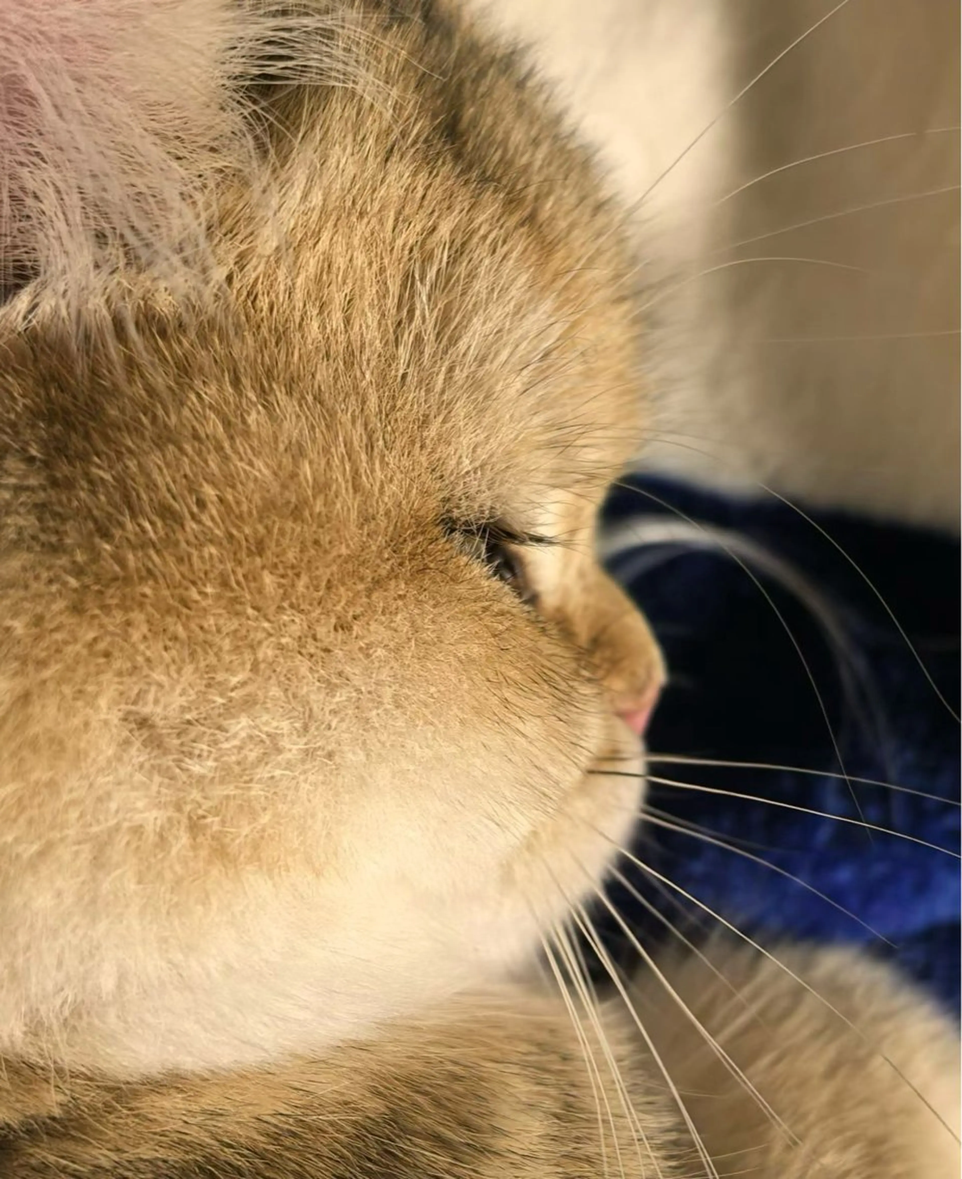 トータルビューティー サロン・Ｎの眉毛・アイブロウイメージ