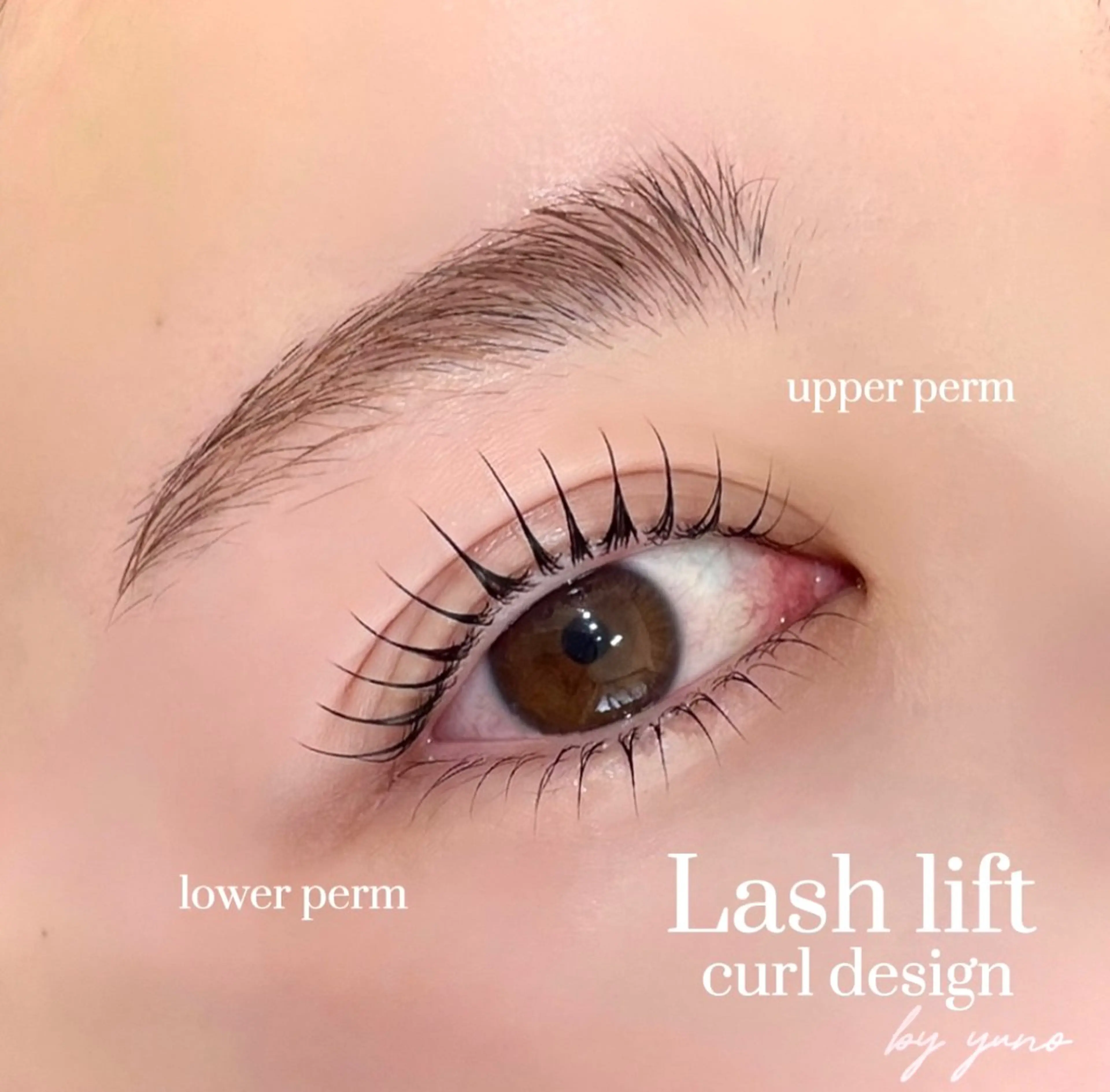 人気No.1 ♡まつ毛パーマ×アイブロウワックス 🪞🎐の写真