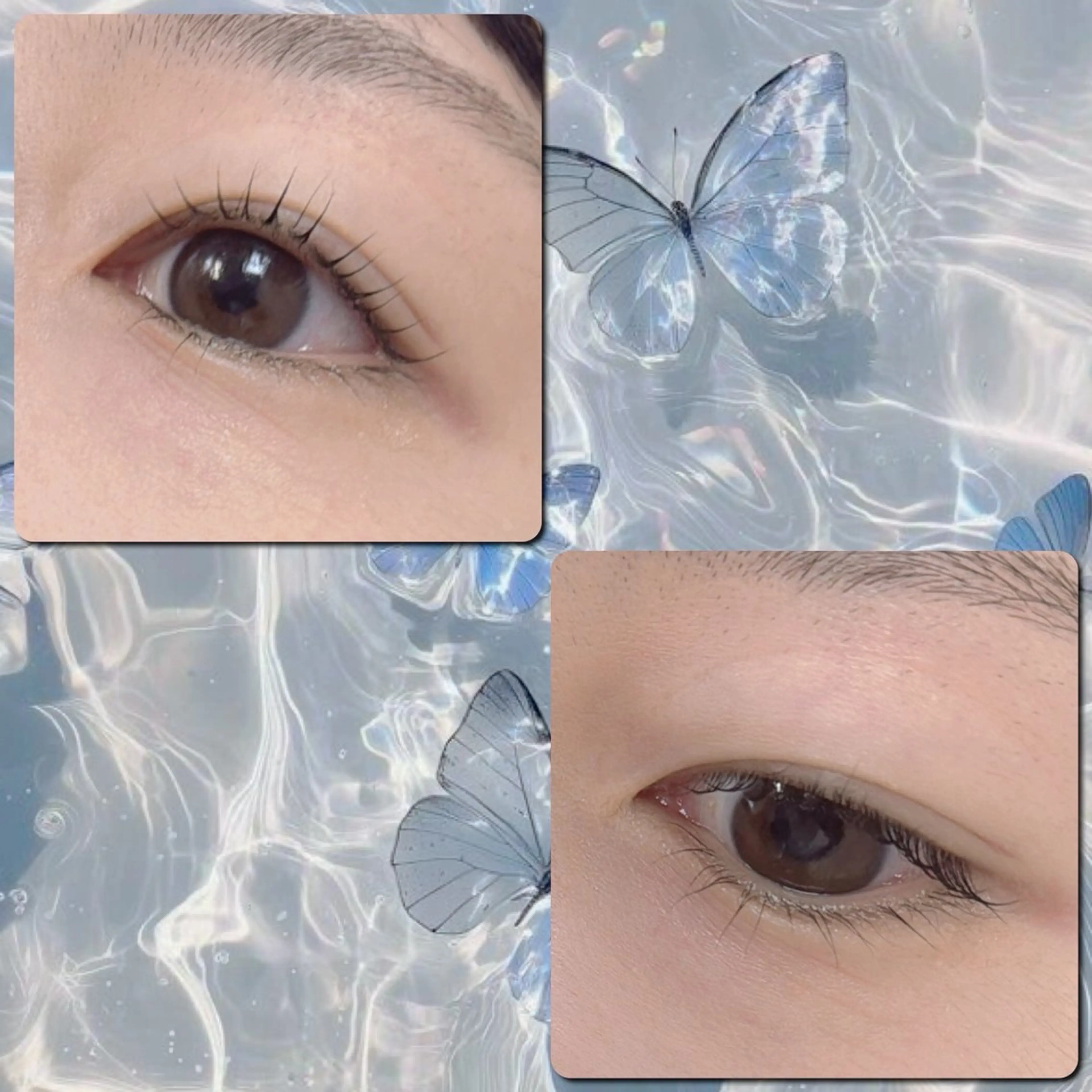 マツエク・マツパ 下まつげエクステ マツパ Bianca 所沢店 Takeiのマツエク・マツパデザイン