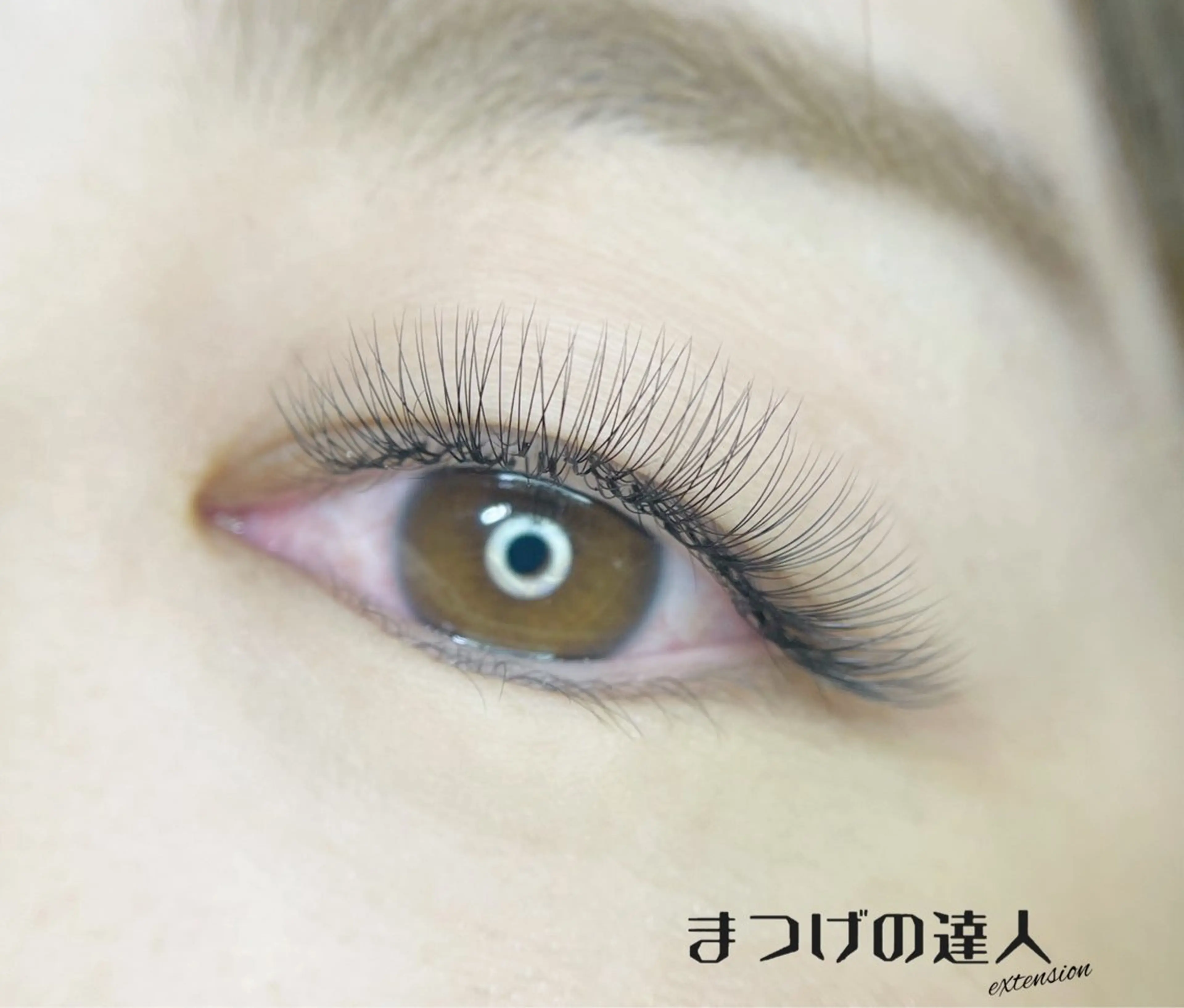 【初めての方】ボリュームラッシュ100本＋LEDグルーの写真