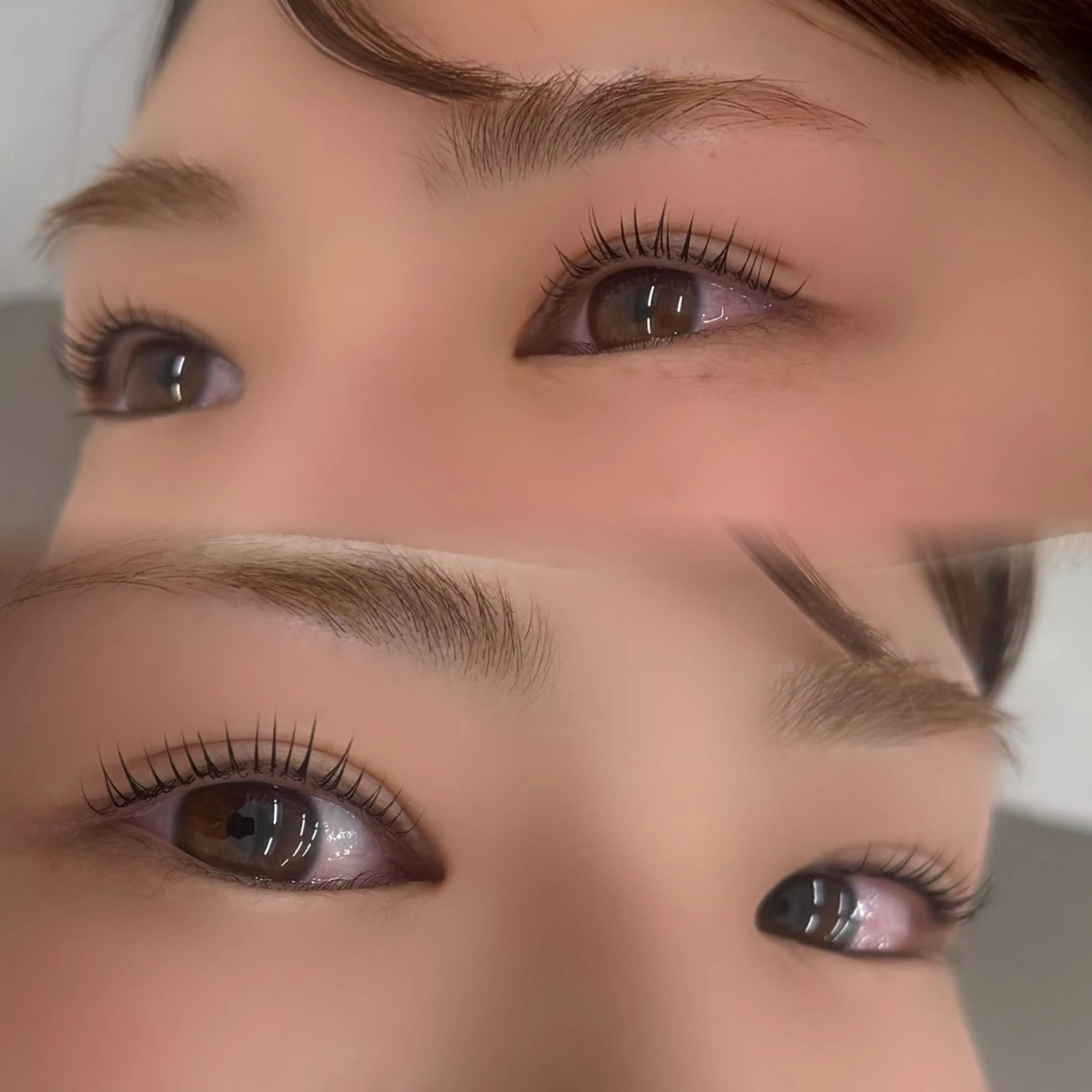 🎁【12月限定】✨パリジェンヌラッシュリフト 5500円→4500円☆⌇浦和の写真