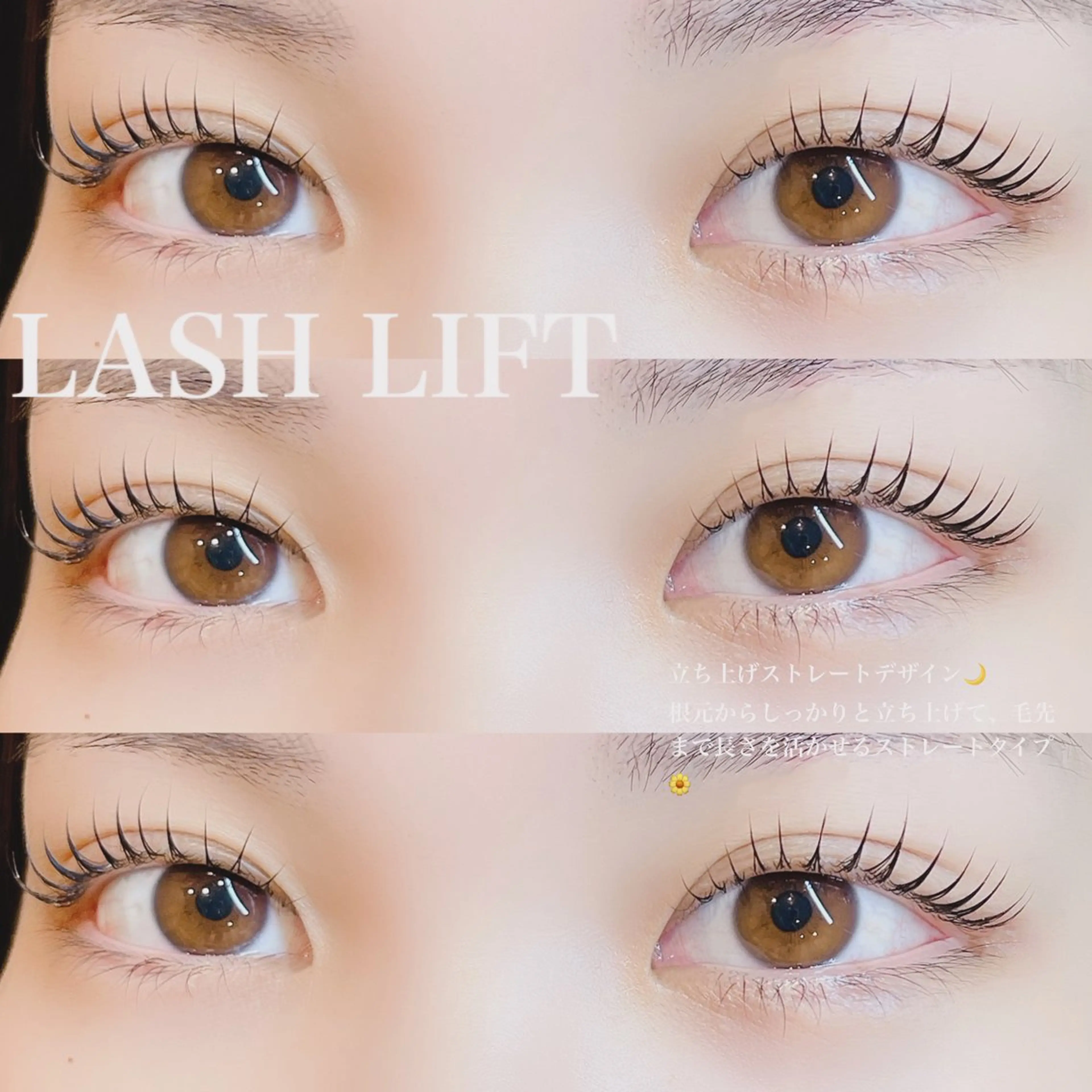 マツエク・マツパ マツパ TOMOMI 🍊Tofyのマツエク・マツパデザイン