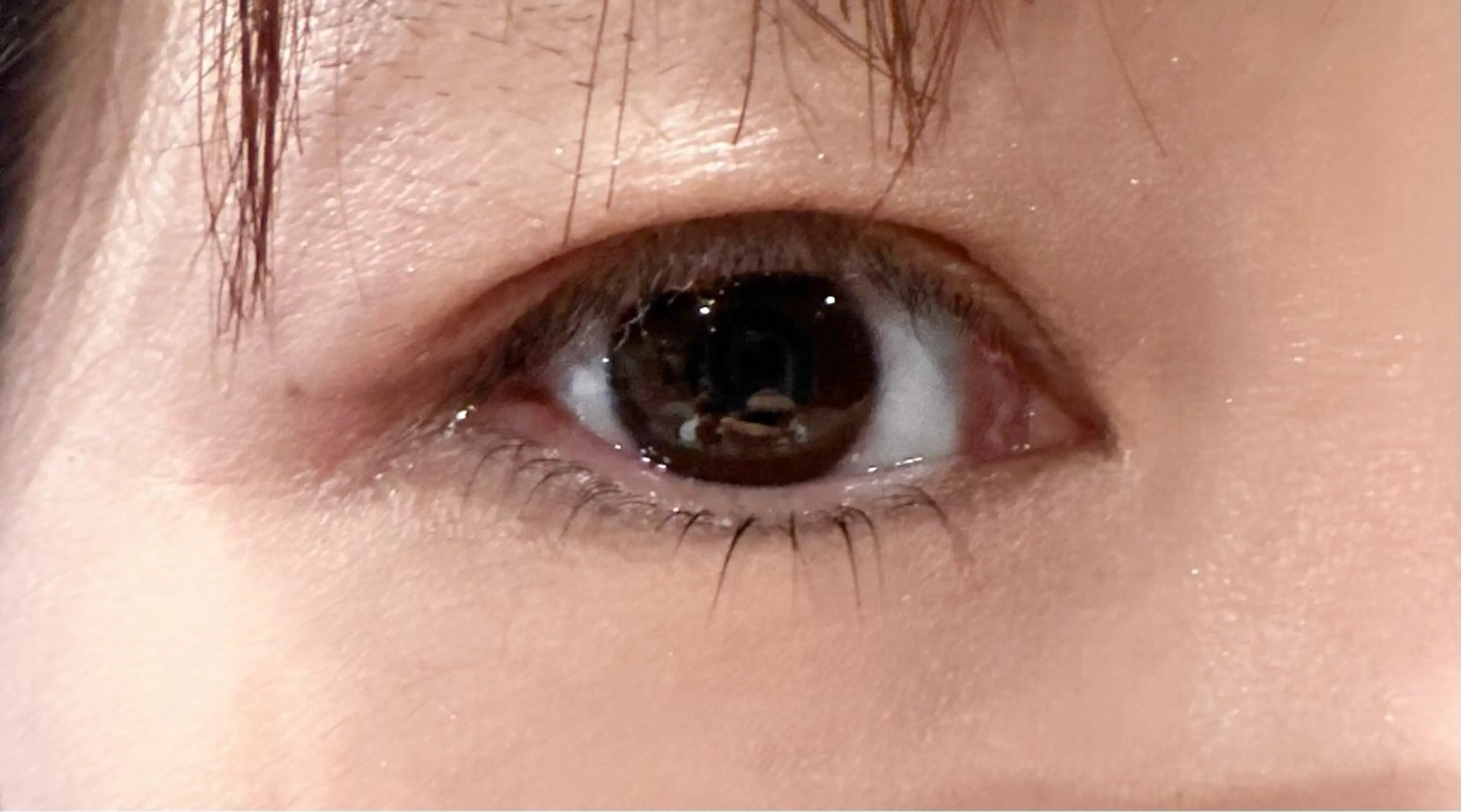 マツエク・マツパ まつげパーマ 下まつげエクステ 目元と毛穴の専門店　kawamura所属・かわむら ゆりのマツエク・マツパデザイン