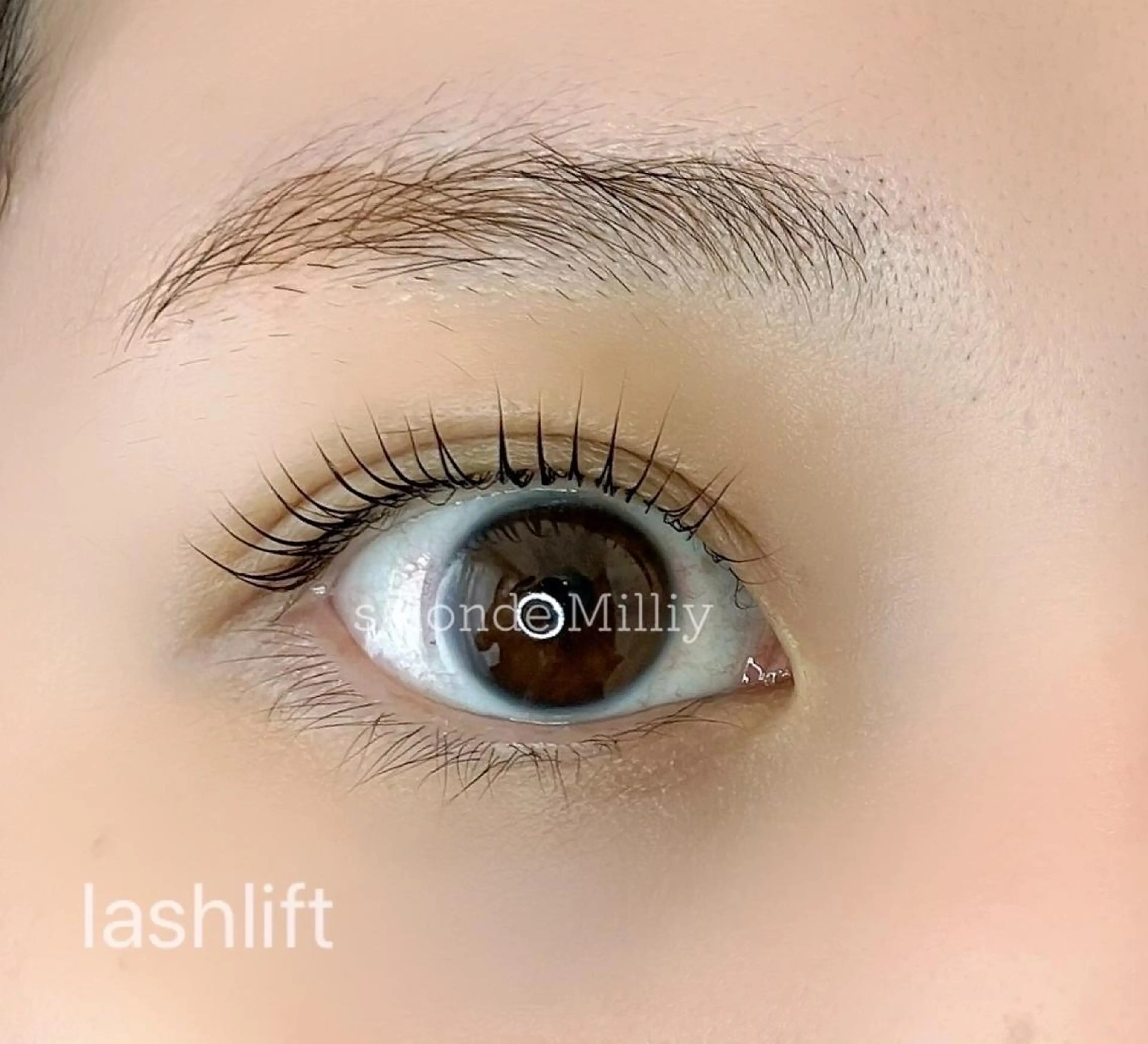 マツエク・マツパ Salon de milly ヨシザキの眉毛・アイブロウイメージ