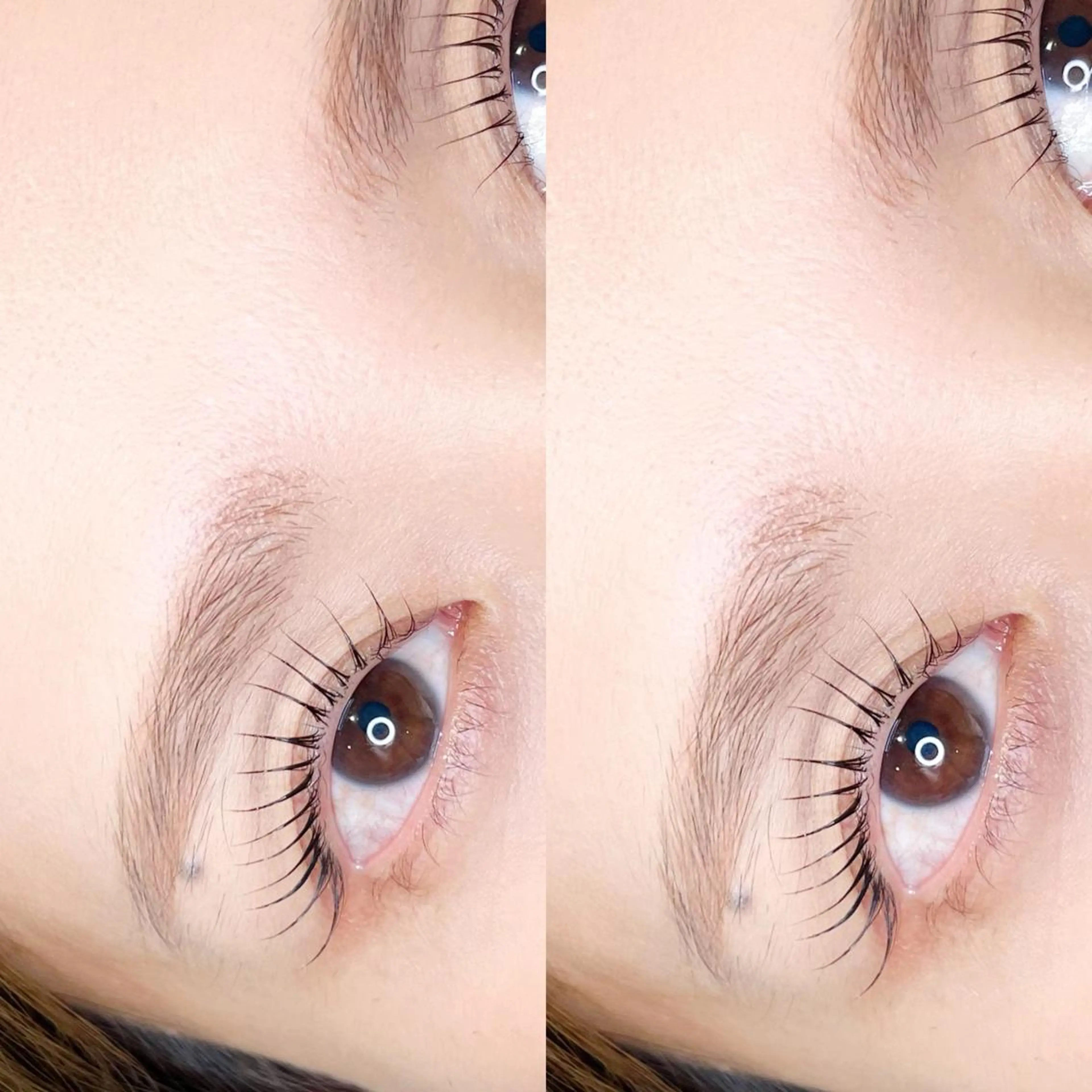 マツエク・マツパ YUZUME  銀座店所属・YUZUME /銀座店のマツエク・マツパデザイン