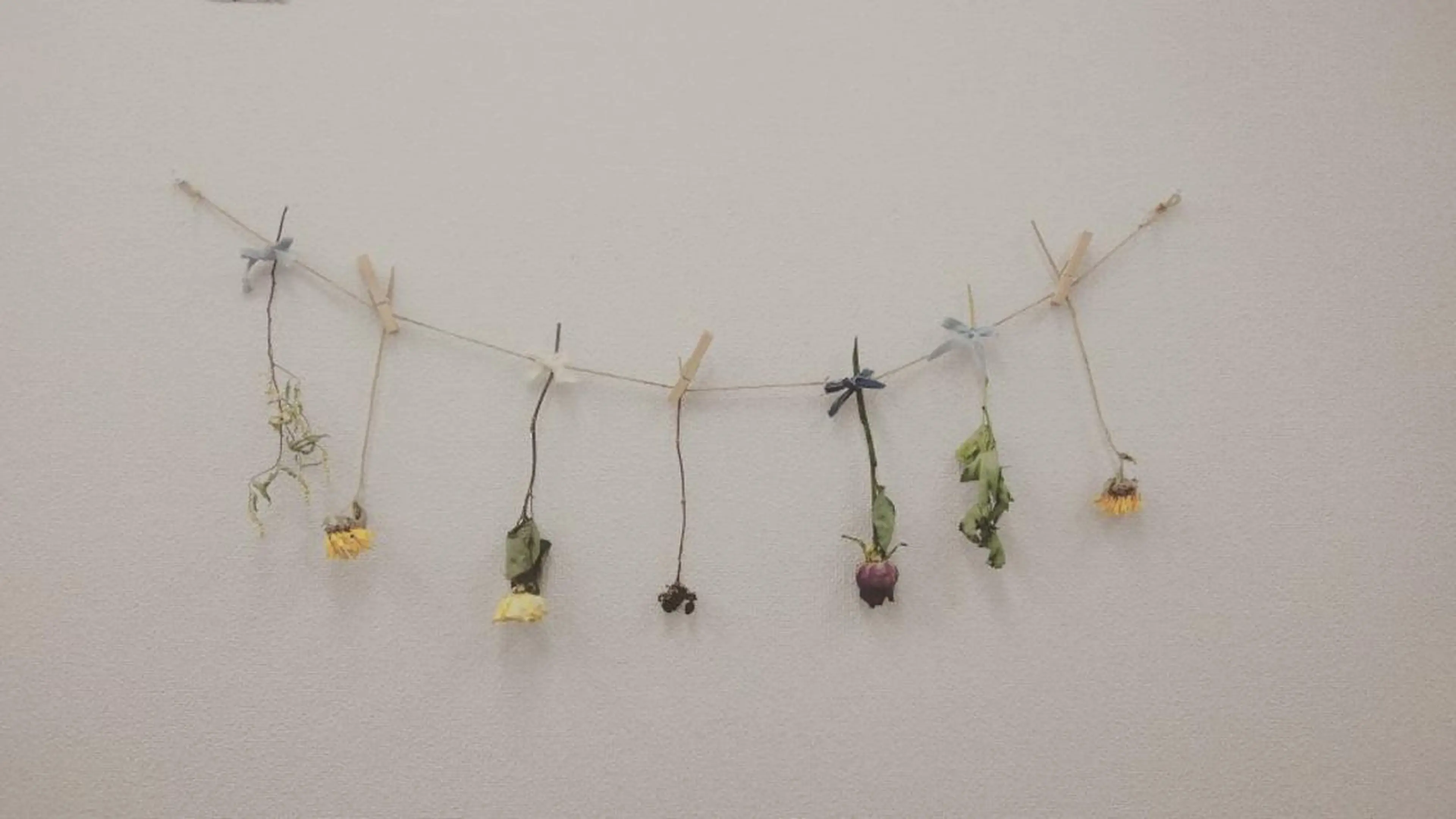 マツエク・マツパ siklap シクラプのマツエク・マツパデザイン