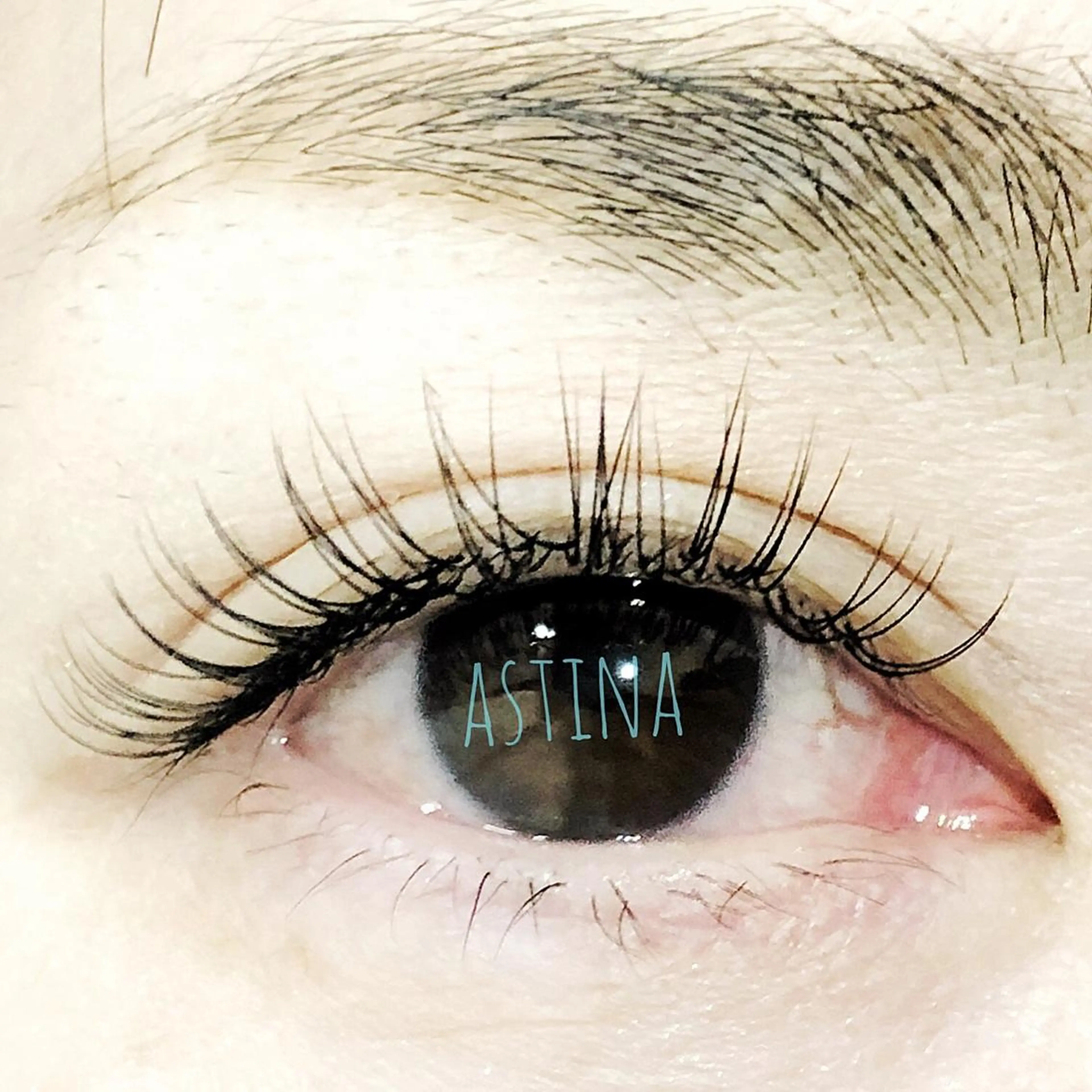 (オフ込)✨シングルエクステ付け放題の写真