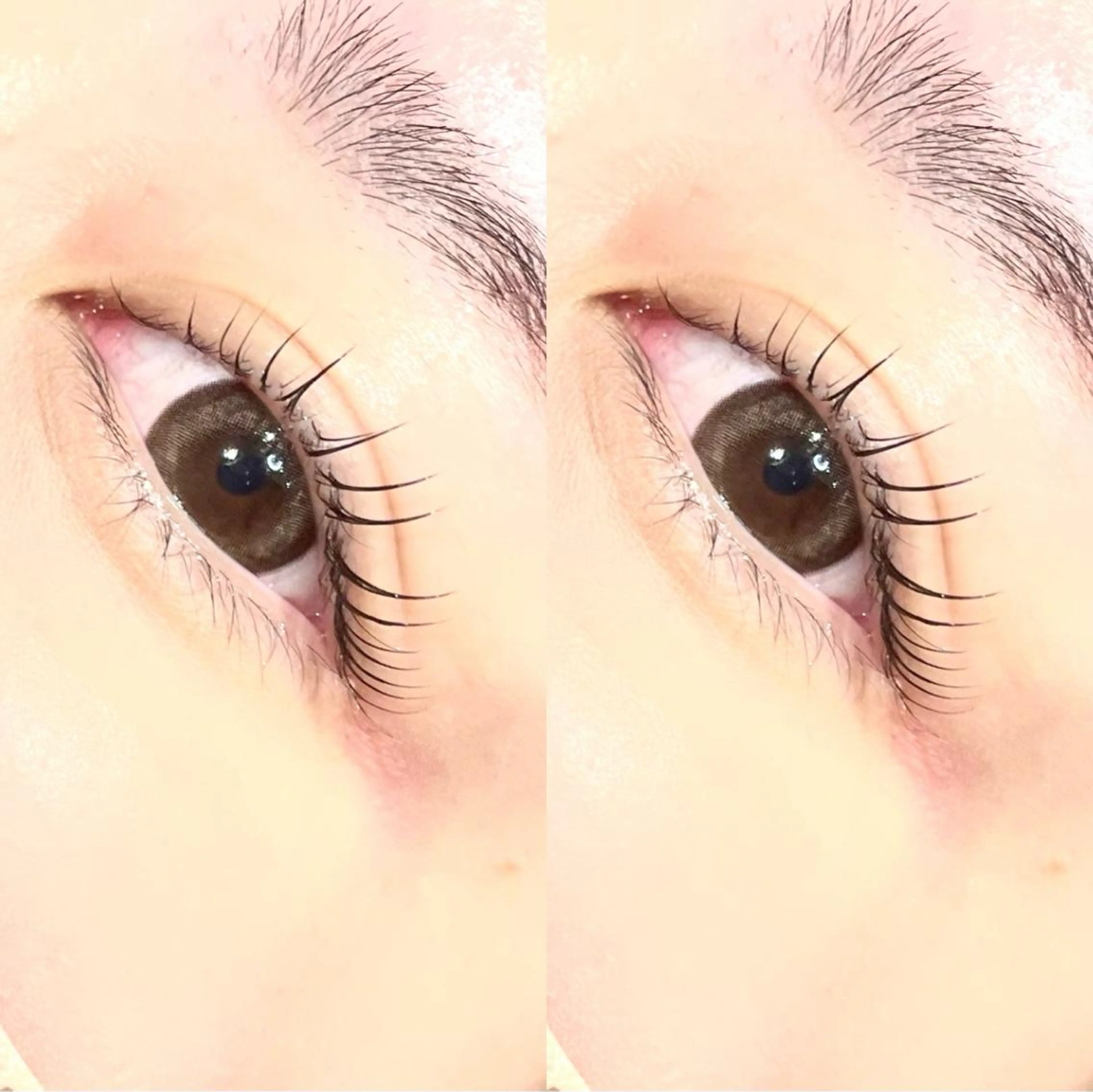 マツエク・マツパ 一重×まつ毛パーマ ◡̈︎eyelist ⑅︎Reinaのマツエク・マツパデザイン