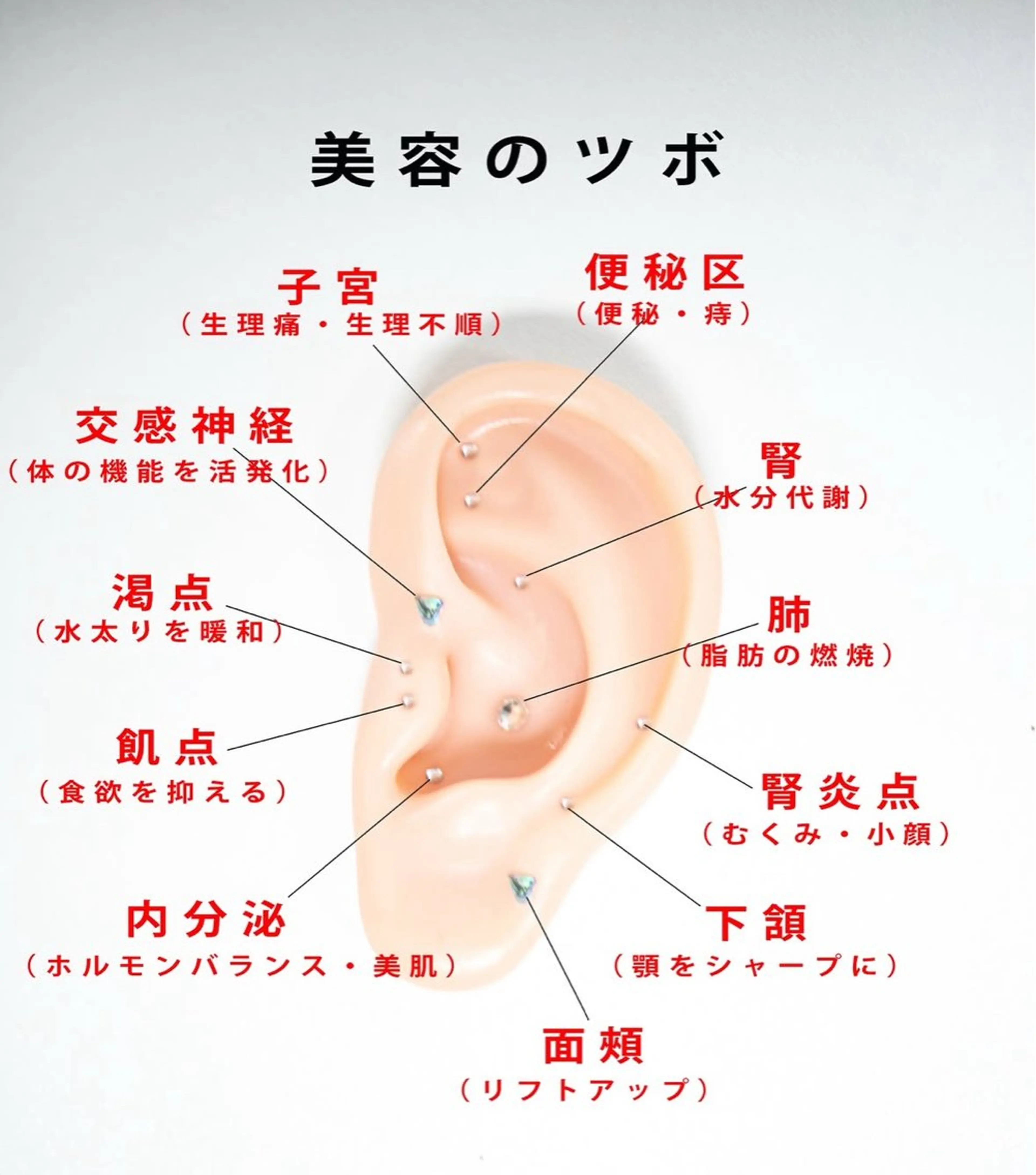 トリコヘアサロン 新井千智のその他イメージ