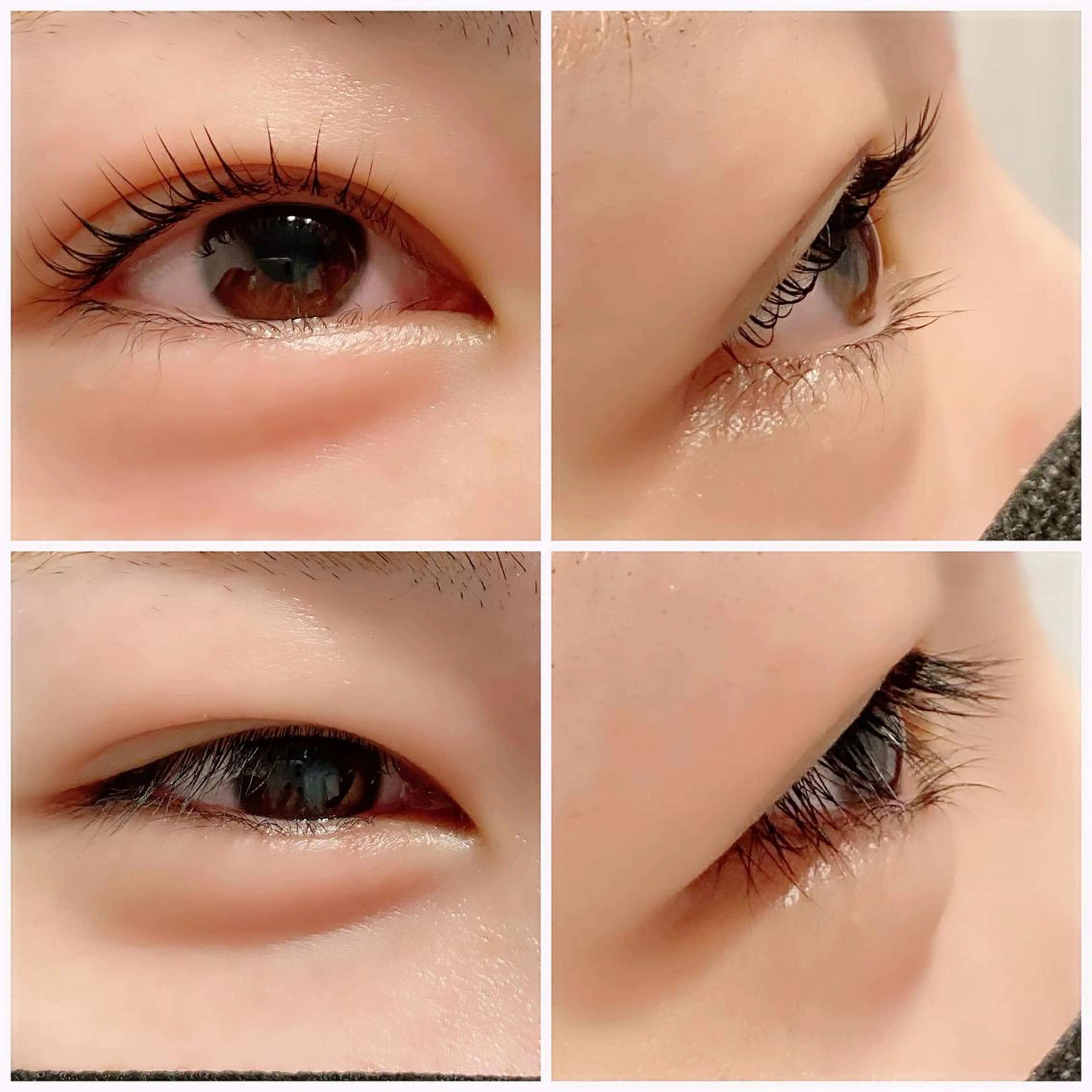 マツエク・マツパ パリジェンヌラッシュリフト マツパ サロン ブルージュの眉毛・アイブロウイメージ