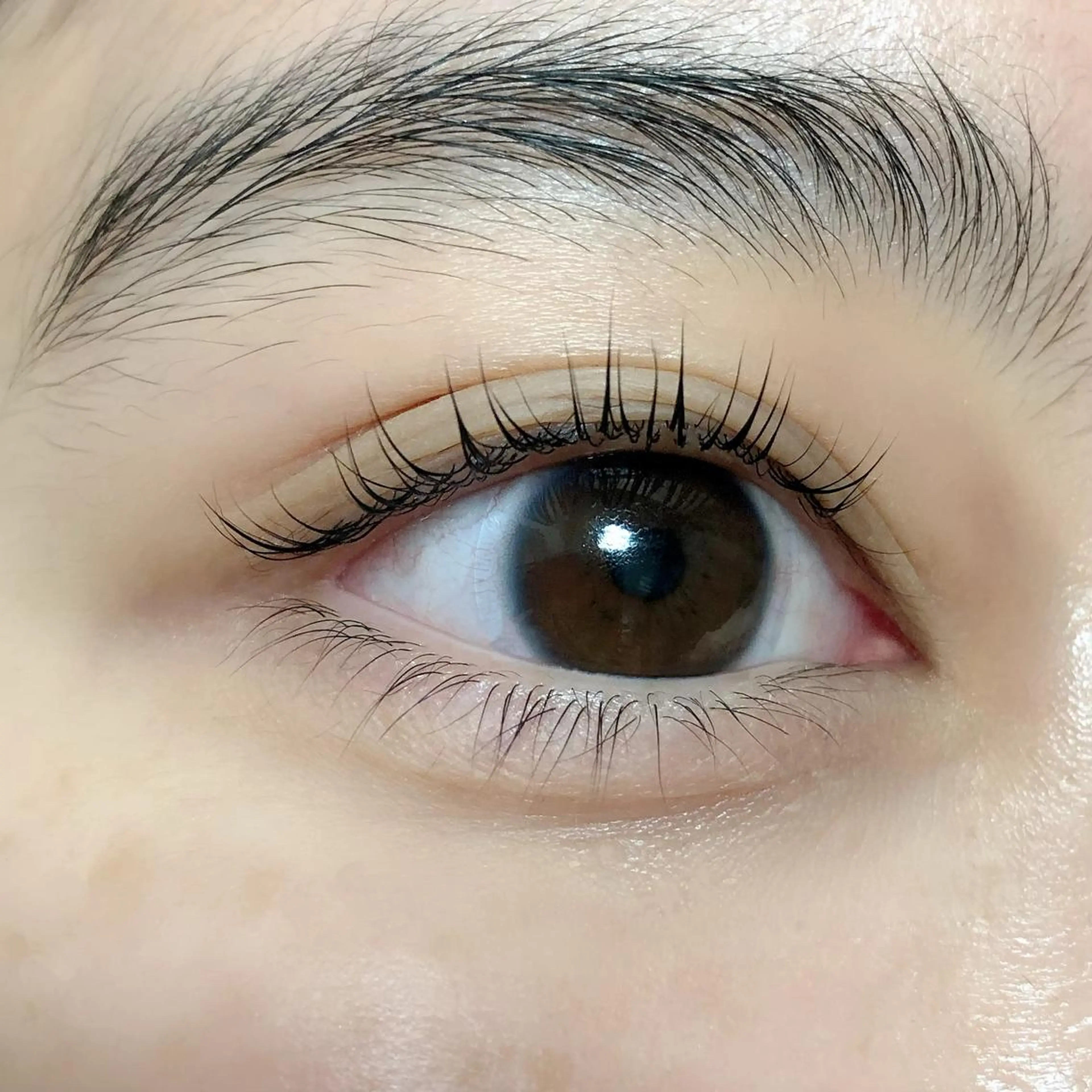 マツエク・マツパ まつげパーマ マツパ Vis a vis 板橋【ヴィザヴィ】所属・Ami 🦋🫧のマツエク・マツパデザイン