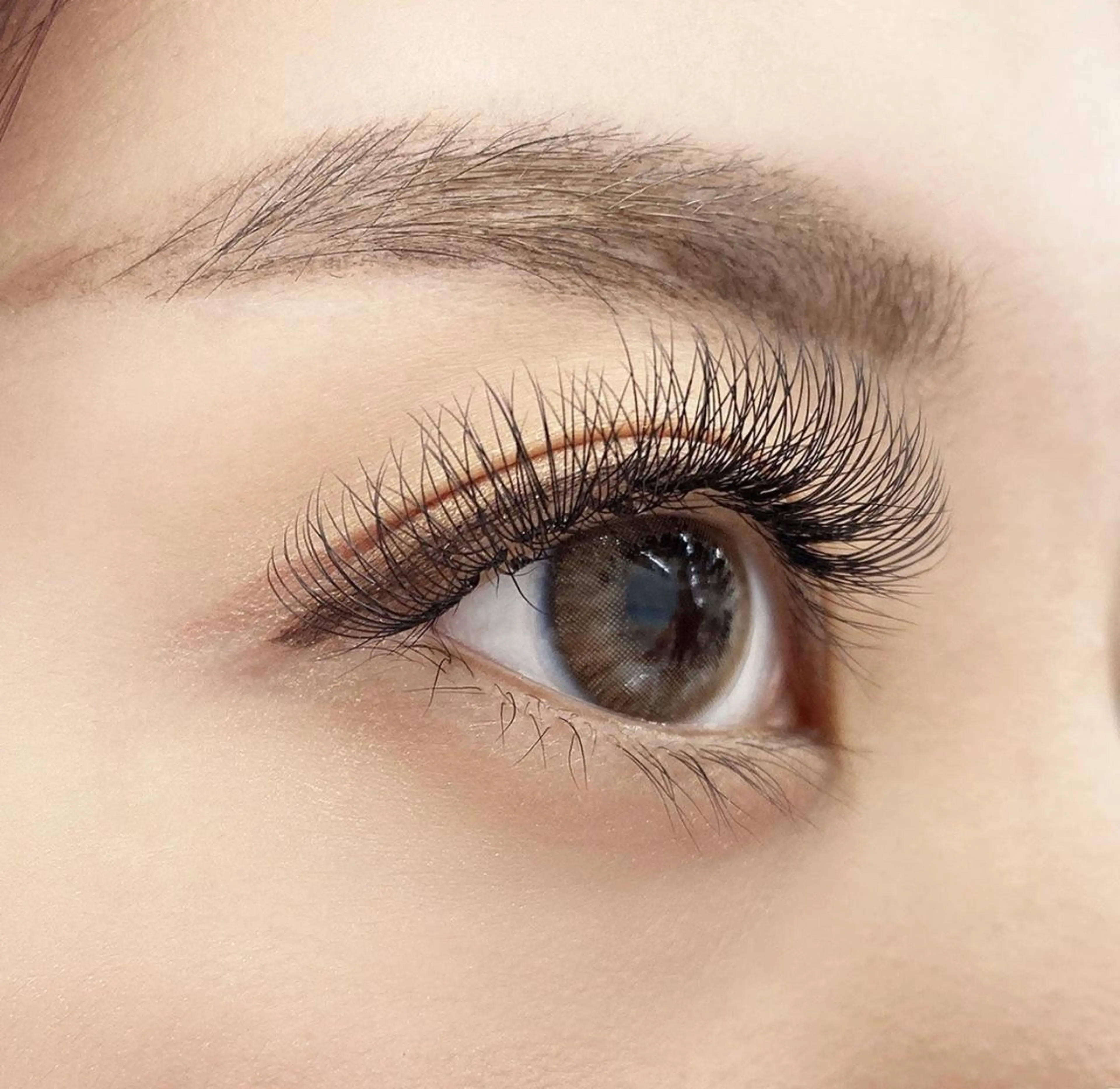 マツエク・マツパ ボリュームラッシュ ラッシュラッシュ👀 布施店の眉毛・アイブロウイメージ