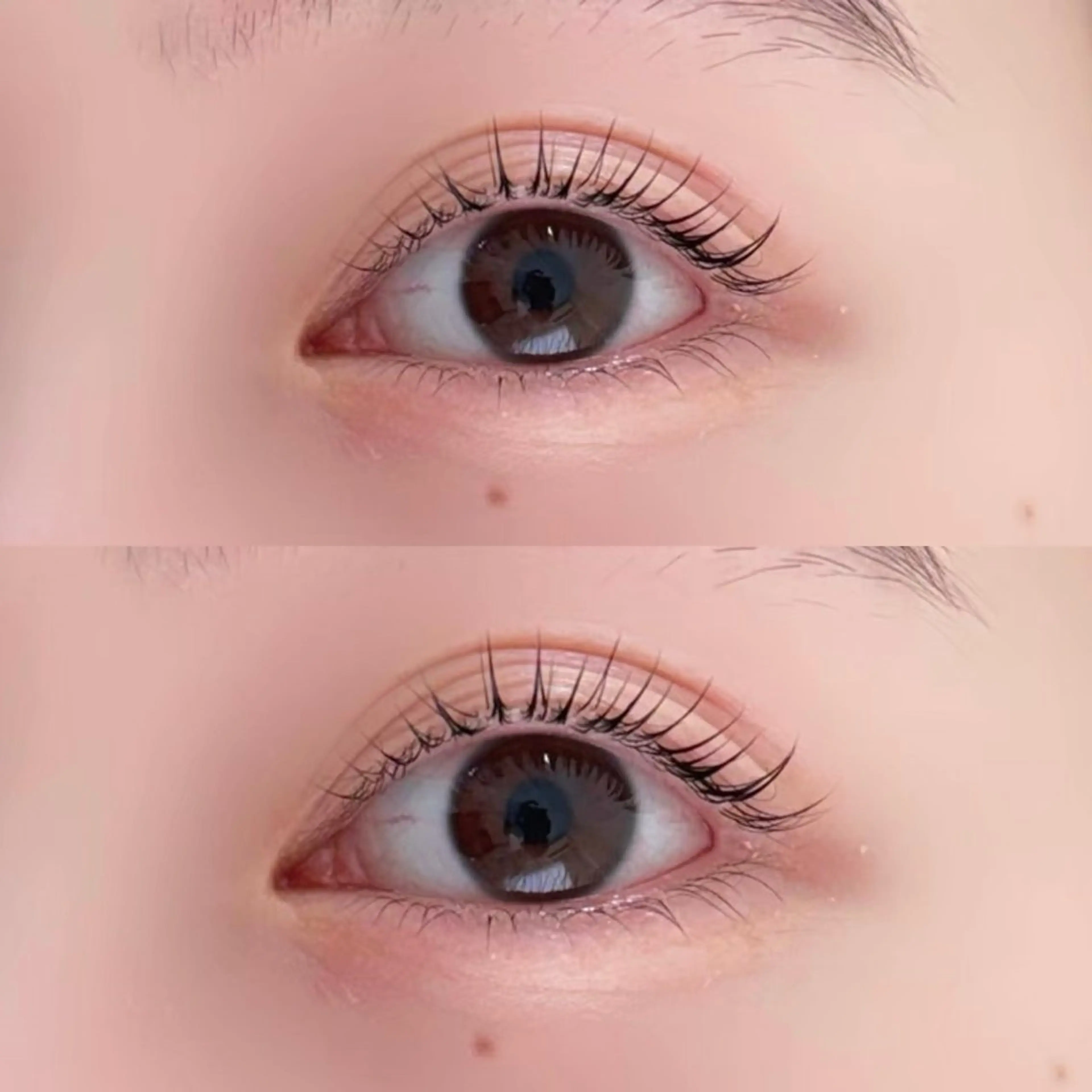 【ご新規1日3名様限定★】　💎パリジェンヌラッシュリフト💎+下まつ毛パーマ　SETの写真