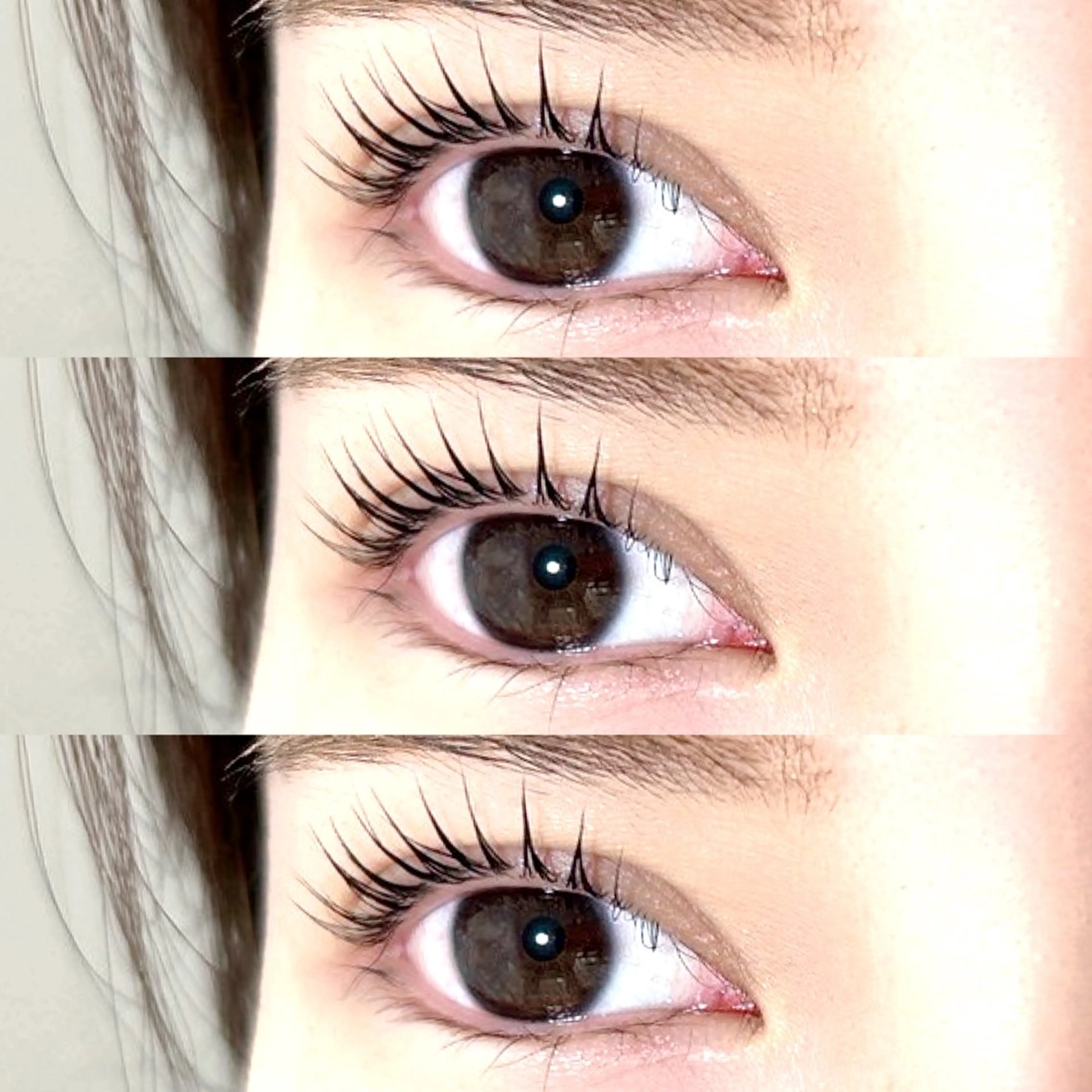 👀💛パリジェンヌ＆高級コーティング仕上げの写真