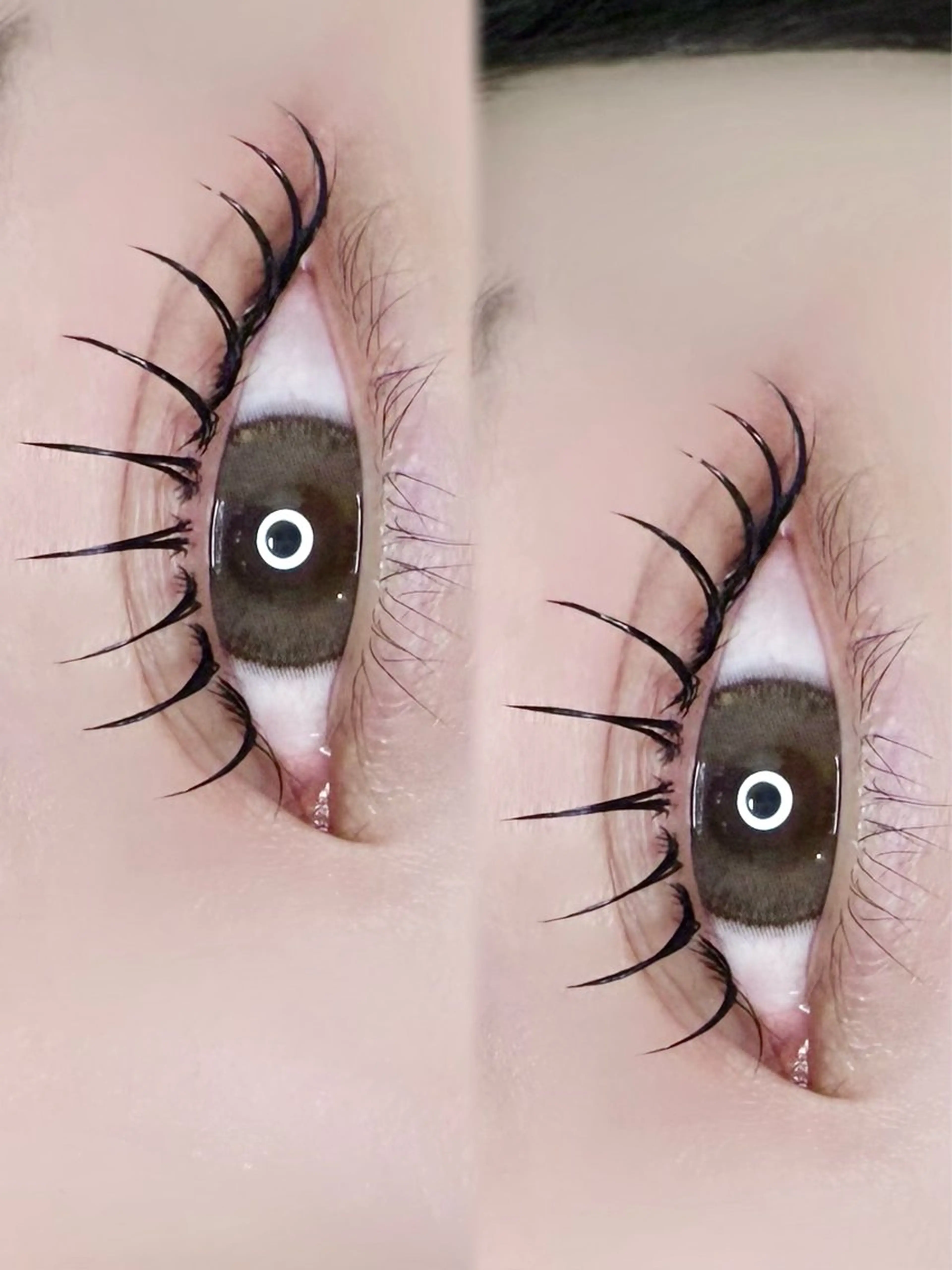 マスカラパーマ🖤 （コーティング仕上げ付き）の写真