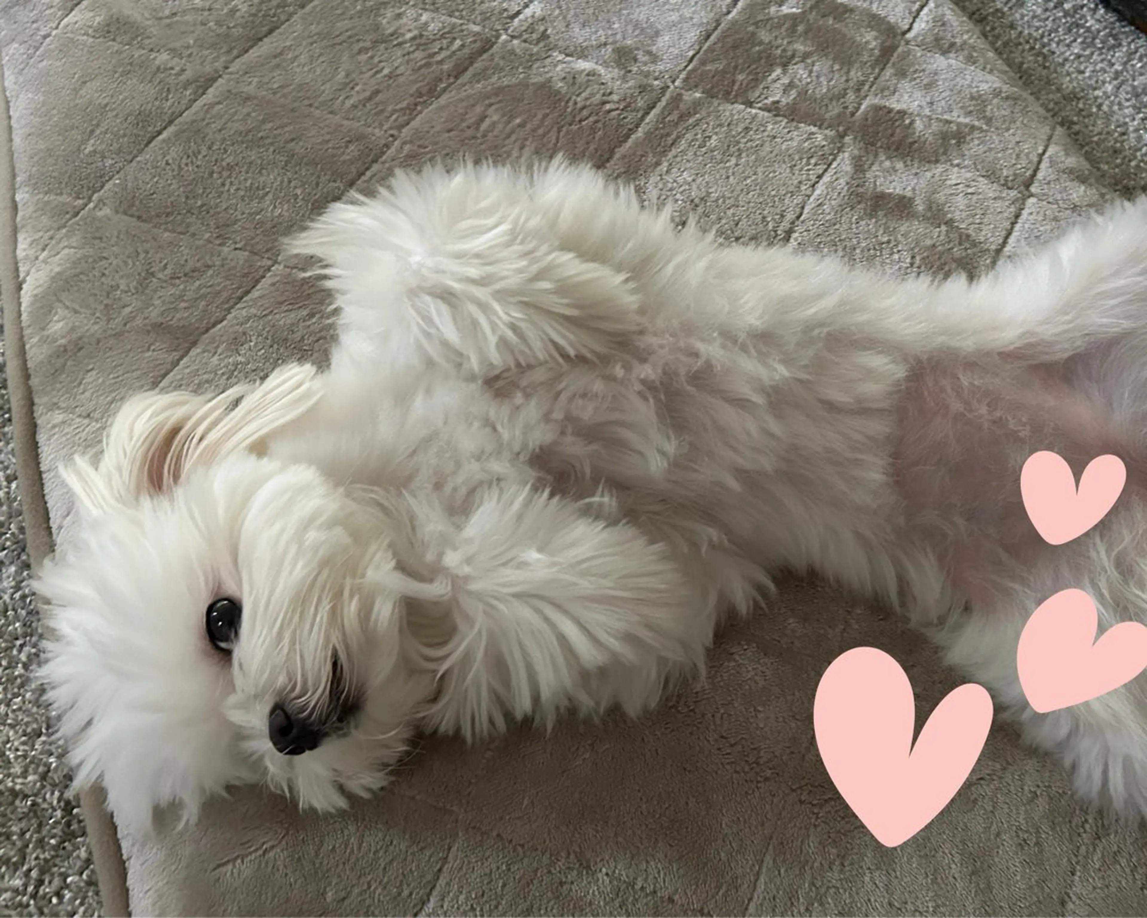 エステ 小顔×肌質改善サロン soin〔ソワン〕のエステ・リラクイメージ