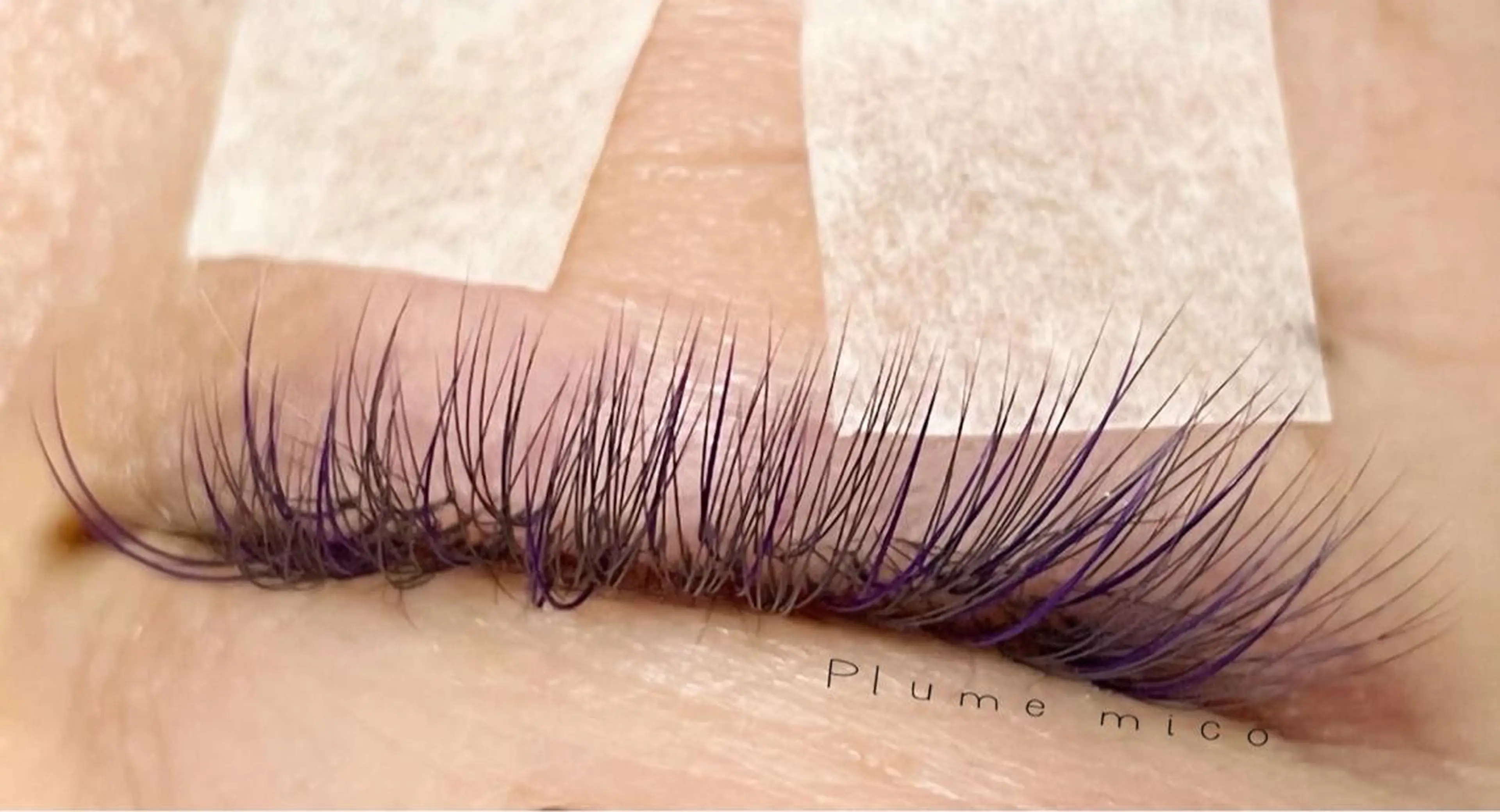 マツエク・マツパ マツエク Plume micoのマツエク・マツパデザイン