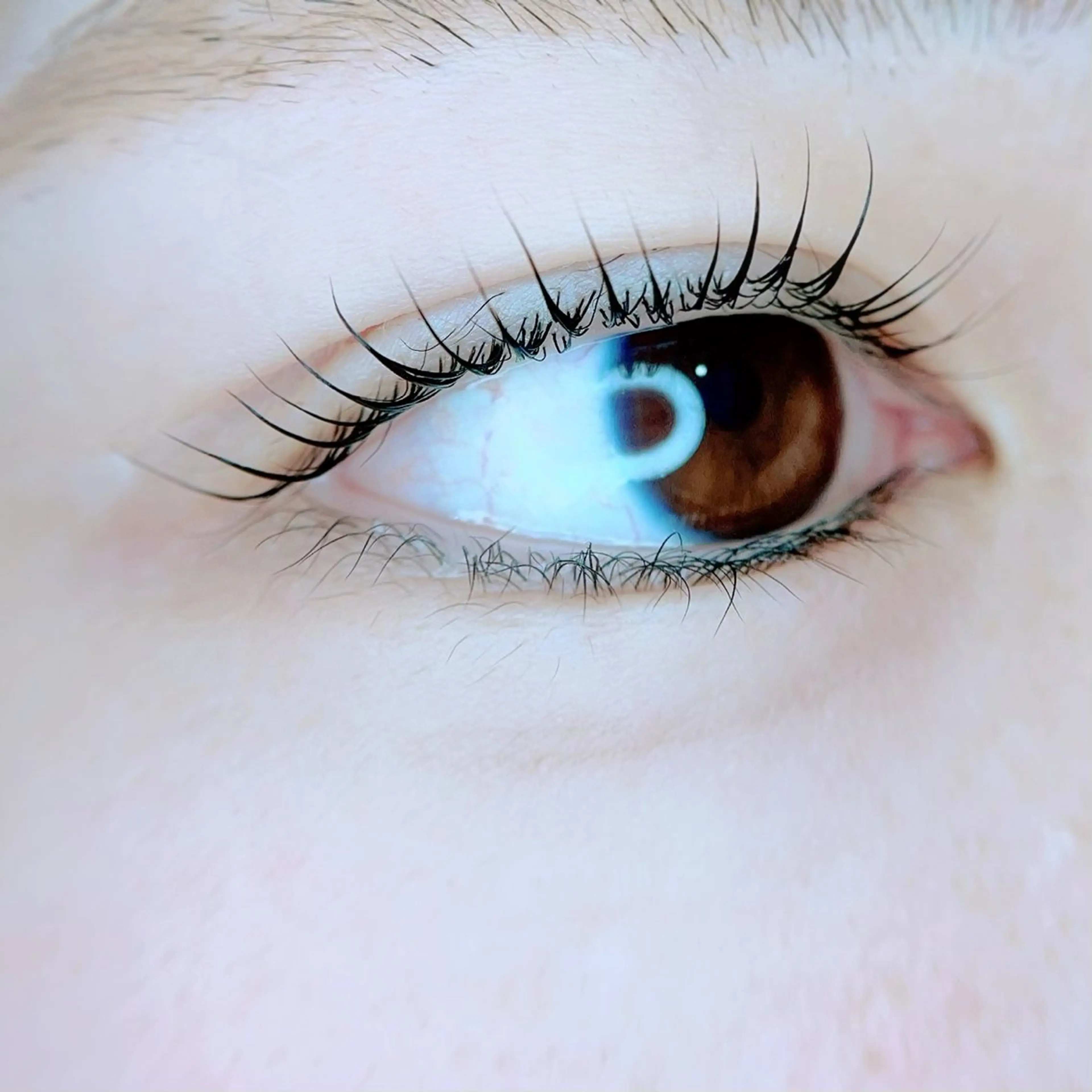 マツエク・マツパ マツパ 鈴木 なるみのマツエク・マツパデザイン