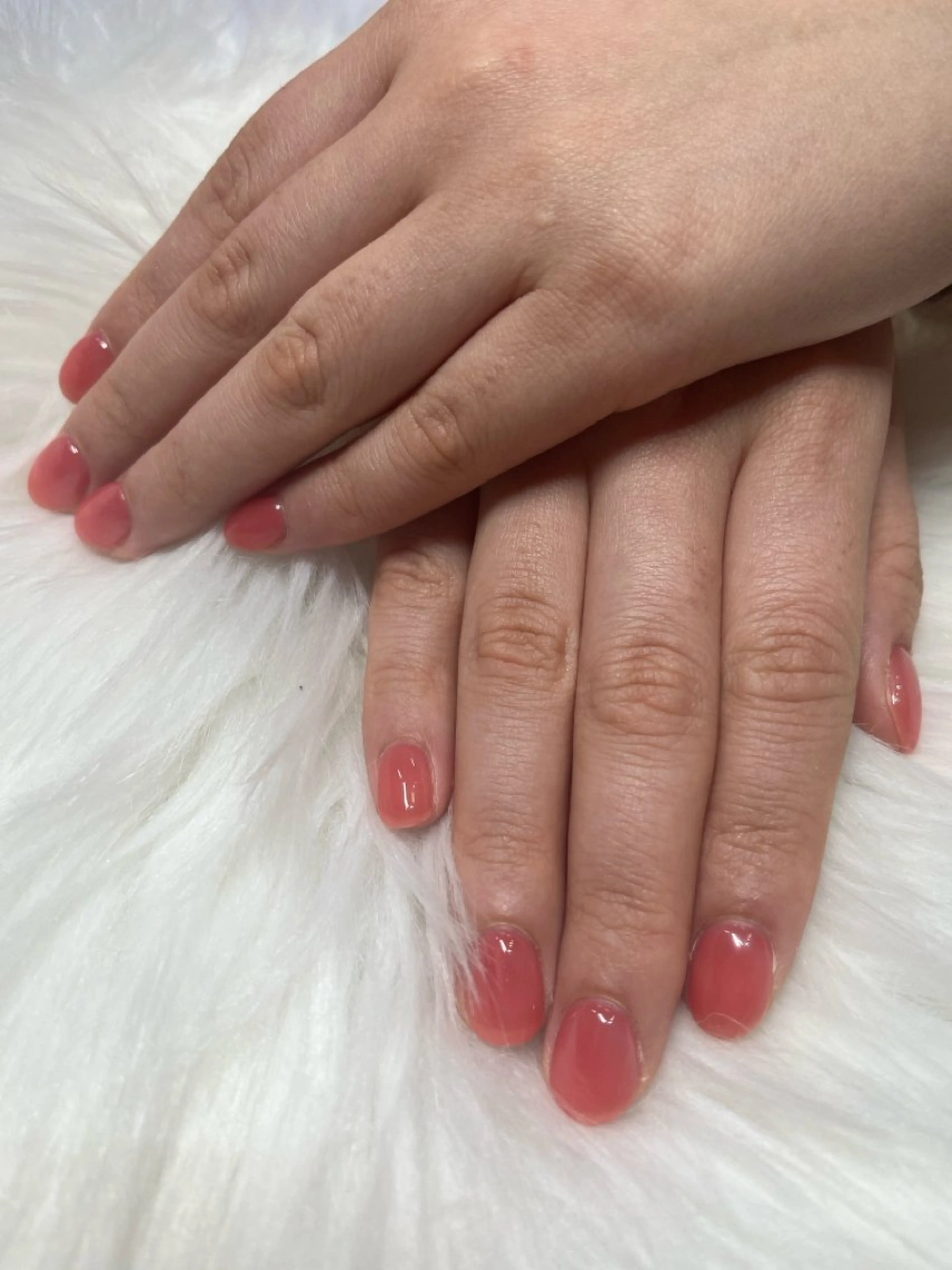 オフなしワンカラーの写真