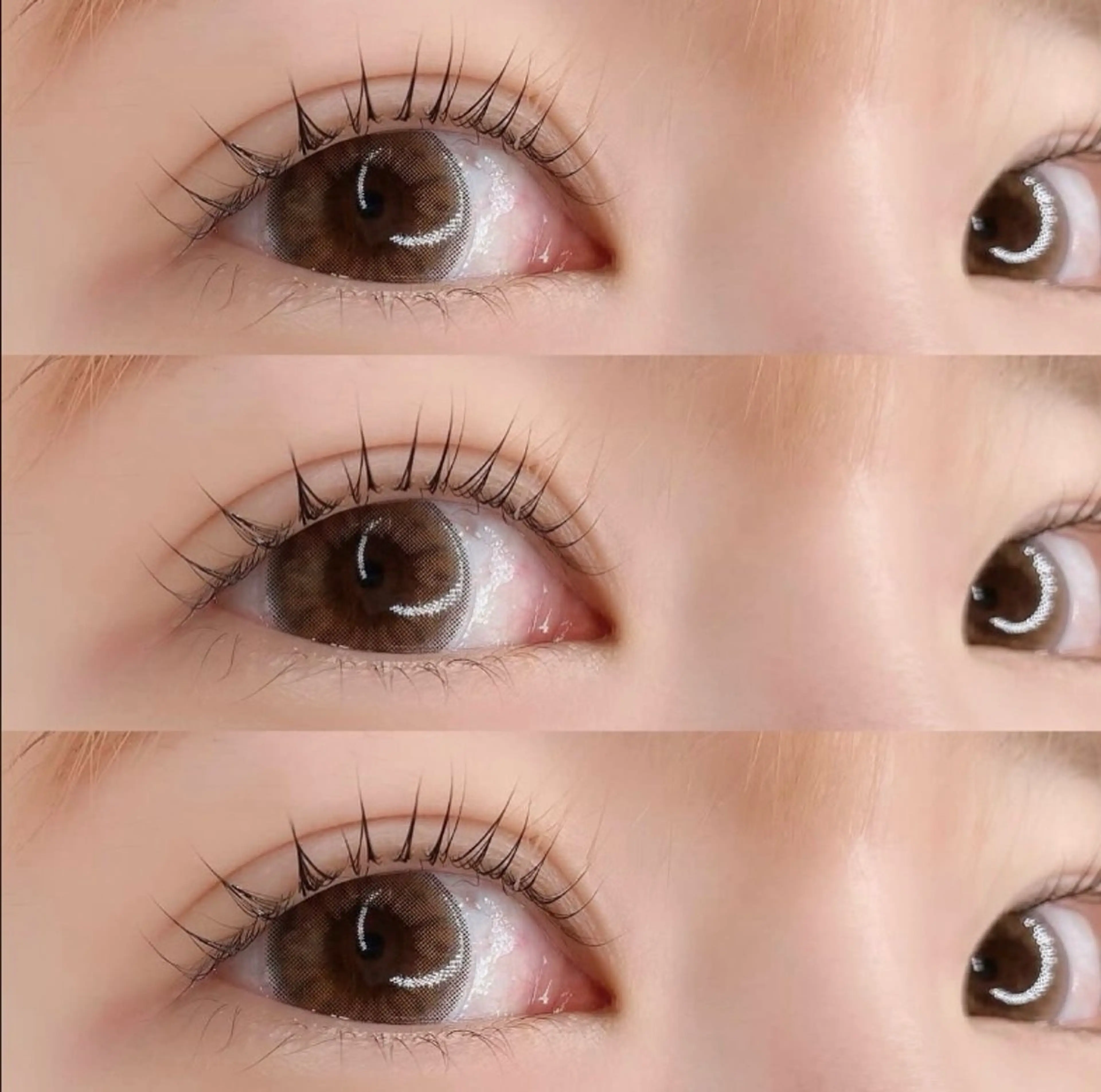 パリジェンヌラッシュリフトorまつげパーマ  トリートメント+美容液+コーティング仕上げの写真