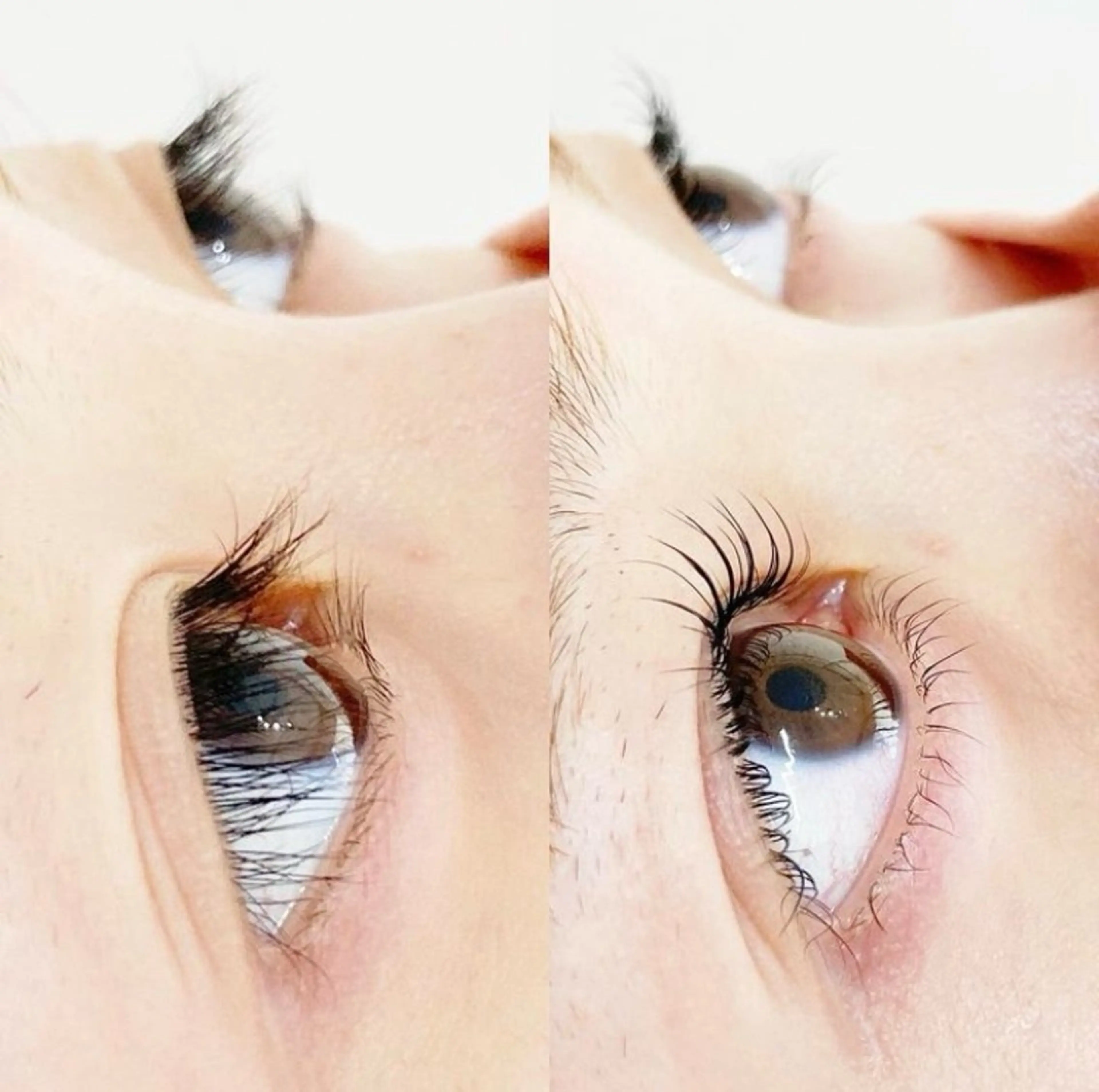 【ミニモ学割】ミニモ特別価格🌟下まつ毛パーマの写真