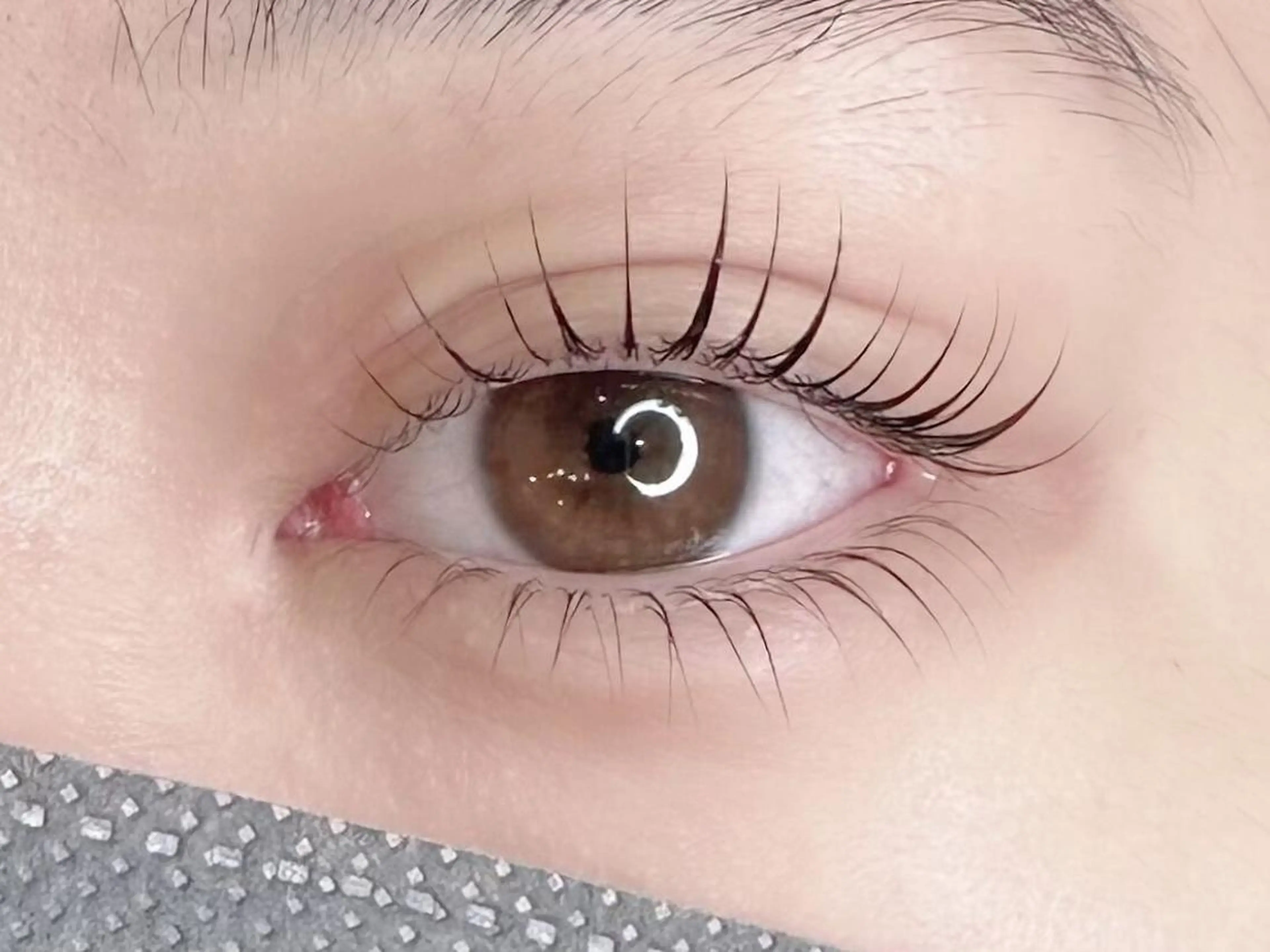 ラッシュリフト【トリートメント🍀コーティング付き】の写真