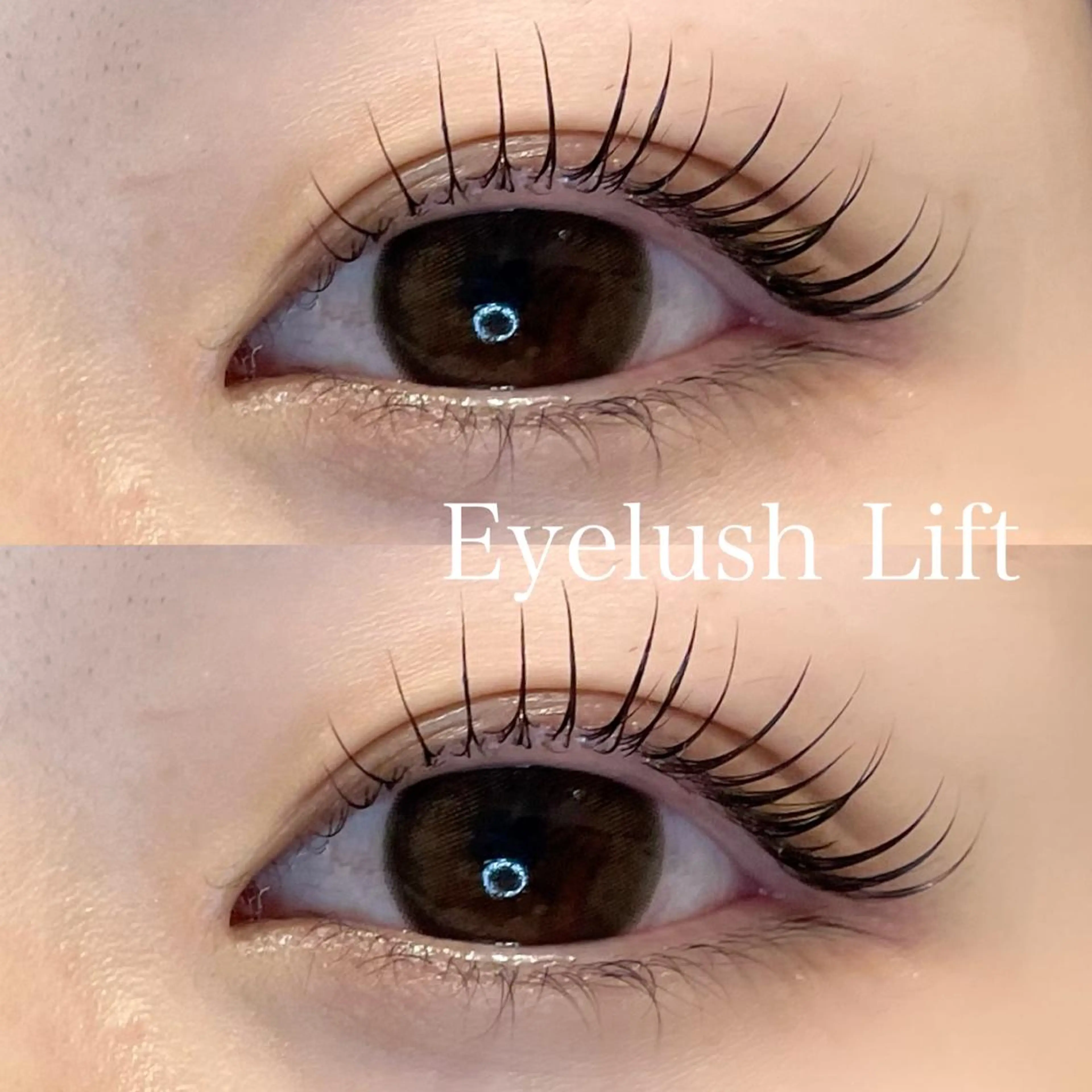 マツエク・マツパ ヘアアレンジ🪽🎀 艶カラー/天王寺のヘアスタイル