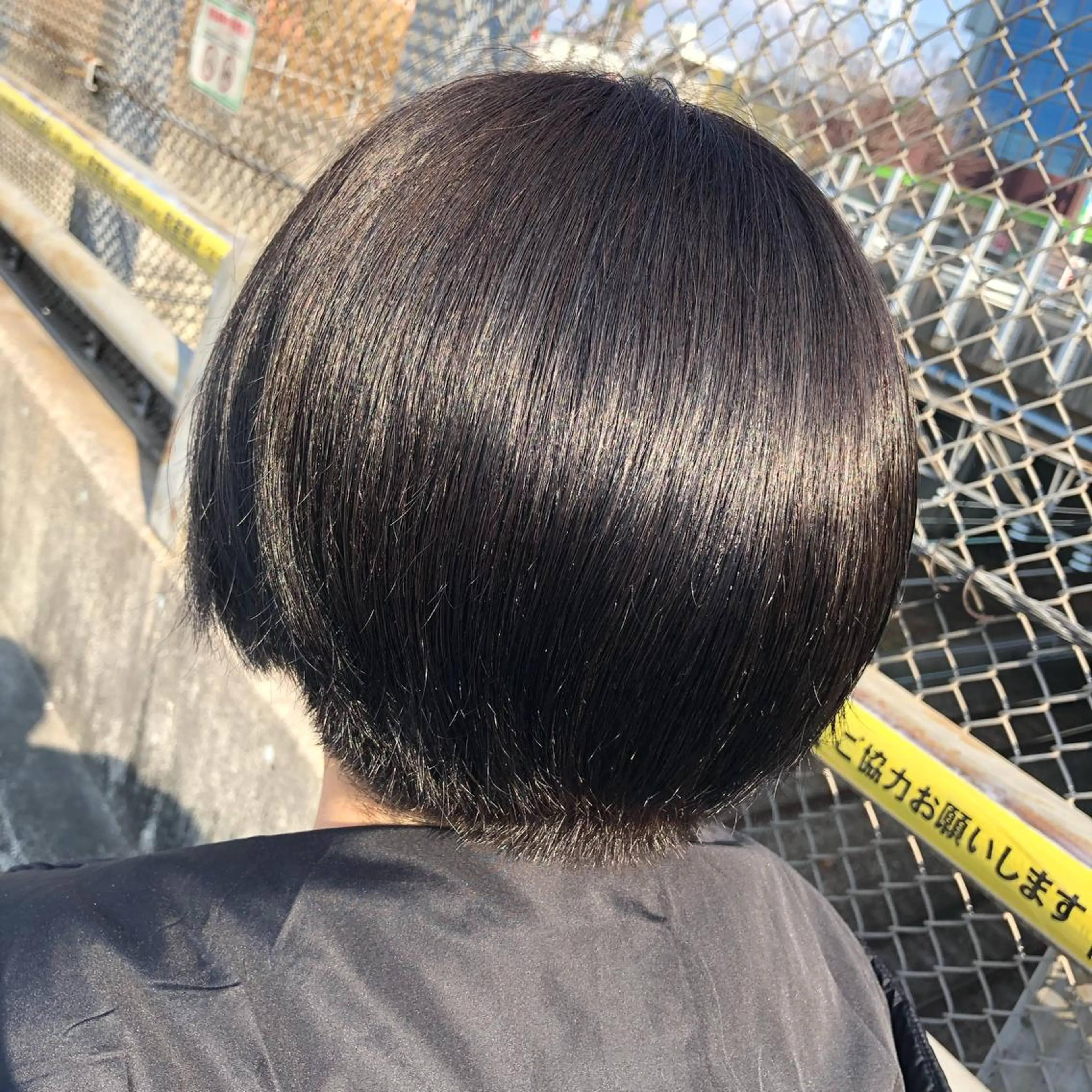 ショート カラー まつ毛/アイブロウ /髪質改善カラーのヘアスタイル