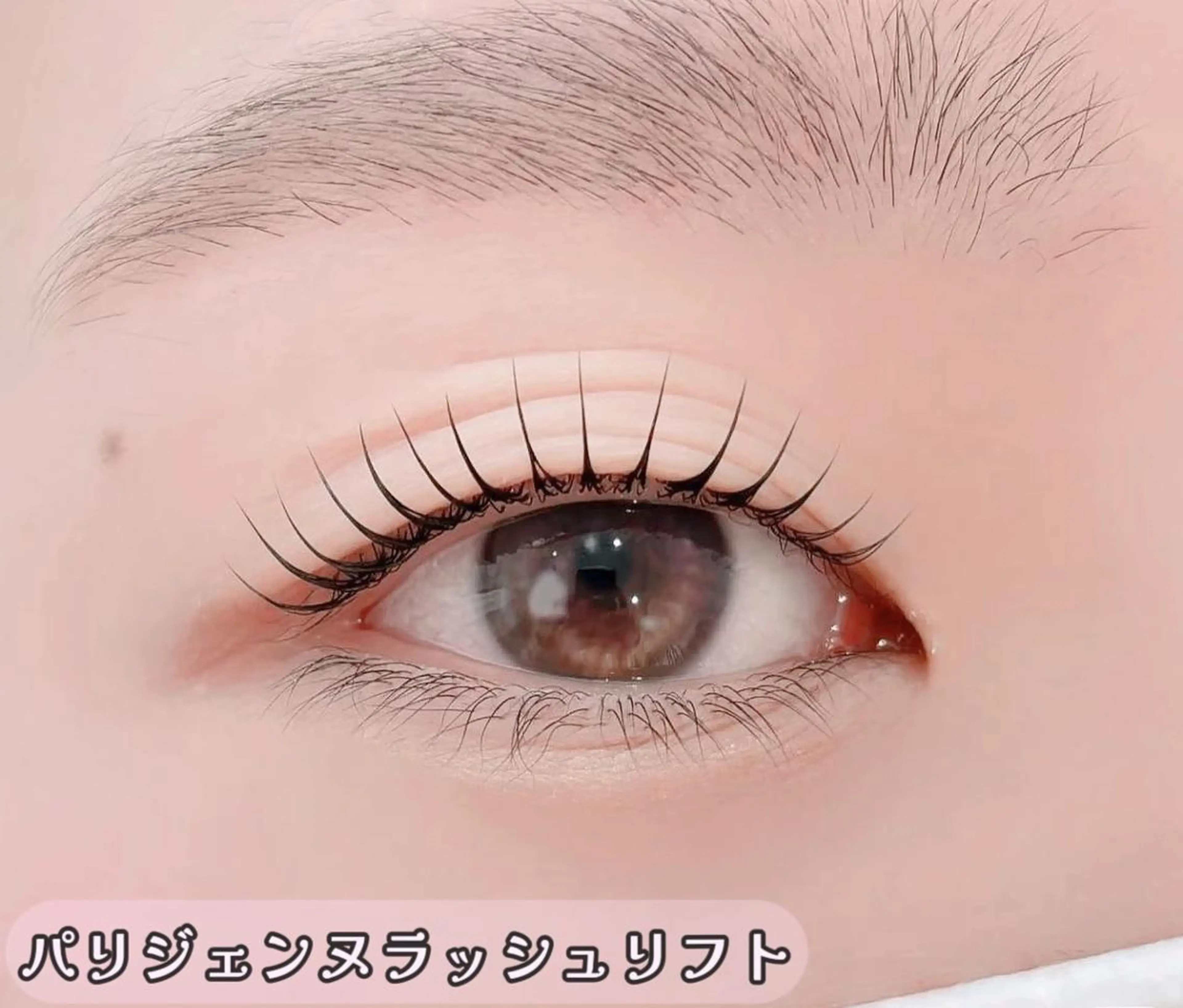 🐦‍🔥パリジェンヌラッシュリフト🐦‍🔥の写真