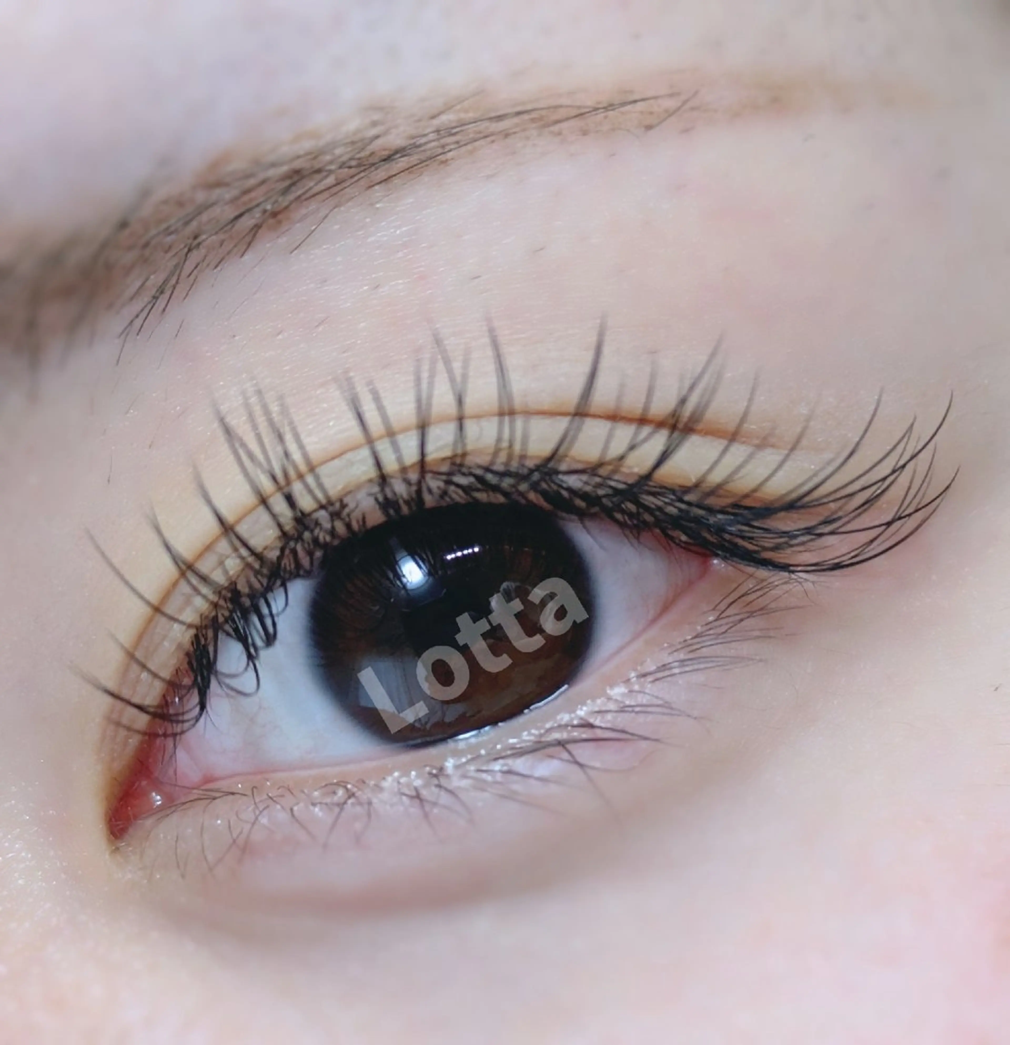 〈オフ無料！〉フラットラッシュ 80本【ミニモ限定価格】の写真