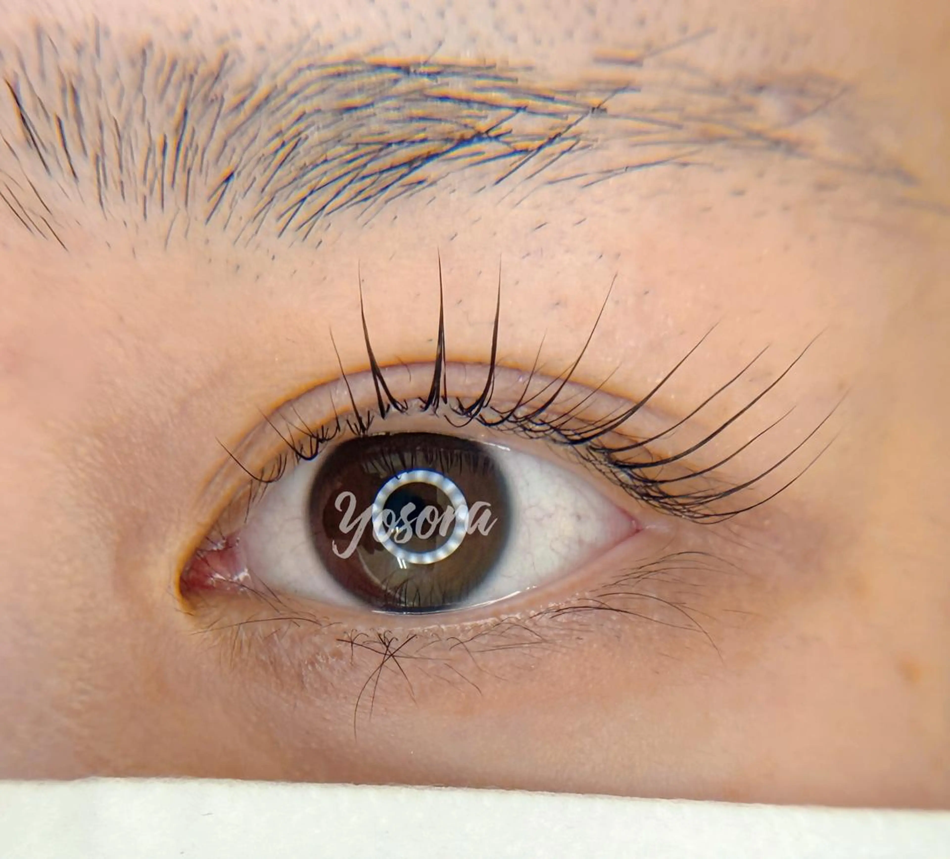 マツエク・マツパ Lカール 一重×まつ毛パーマ マツパ Yosora salonのマツエク・マツパデザイン