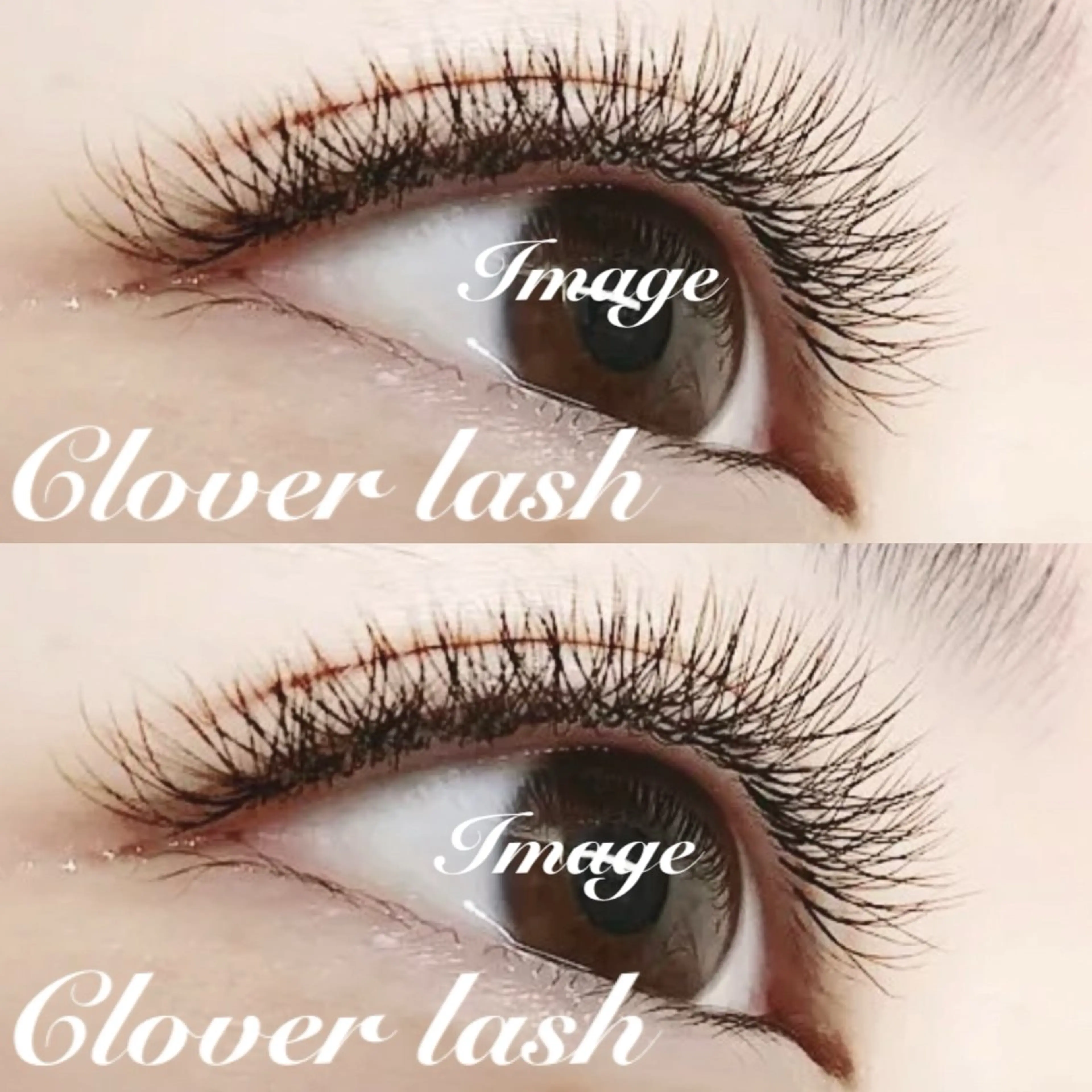 【ご新規様限定】 🍀 Clover lash 3D 80束 🍀の写真