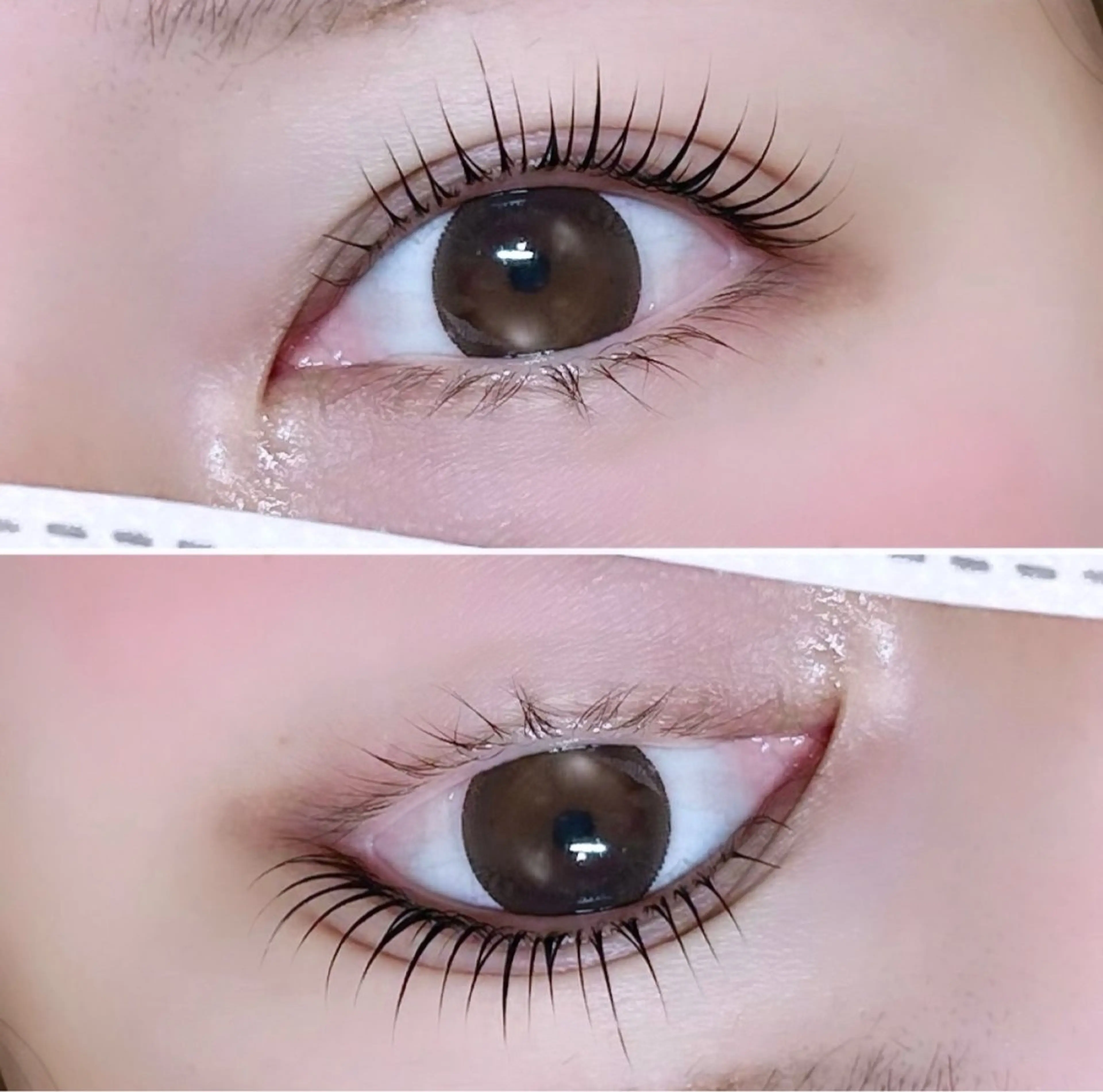 マツエク・マツパ ナチュラル マツパ SUGAR 綱崎愛音のマツエク・マツパデザイン