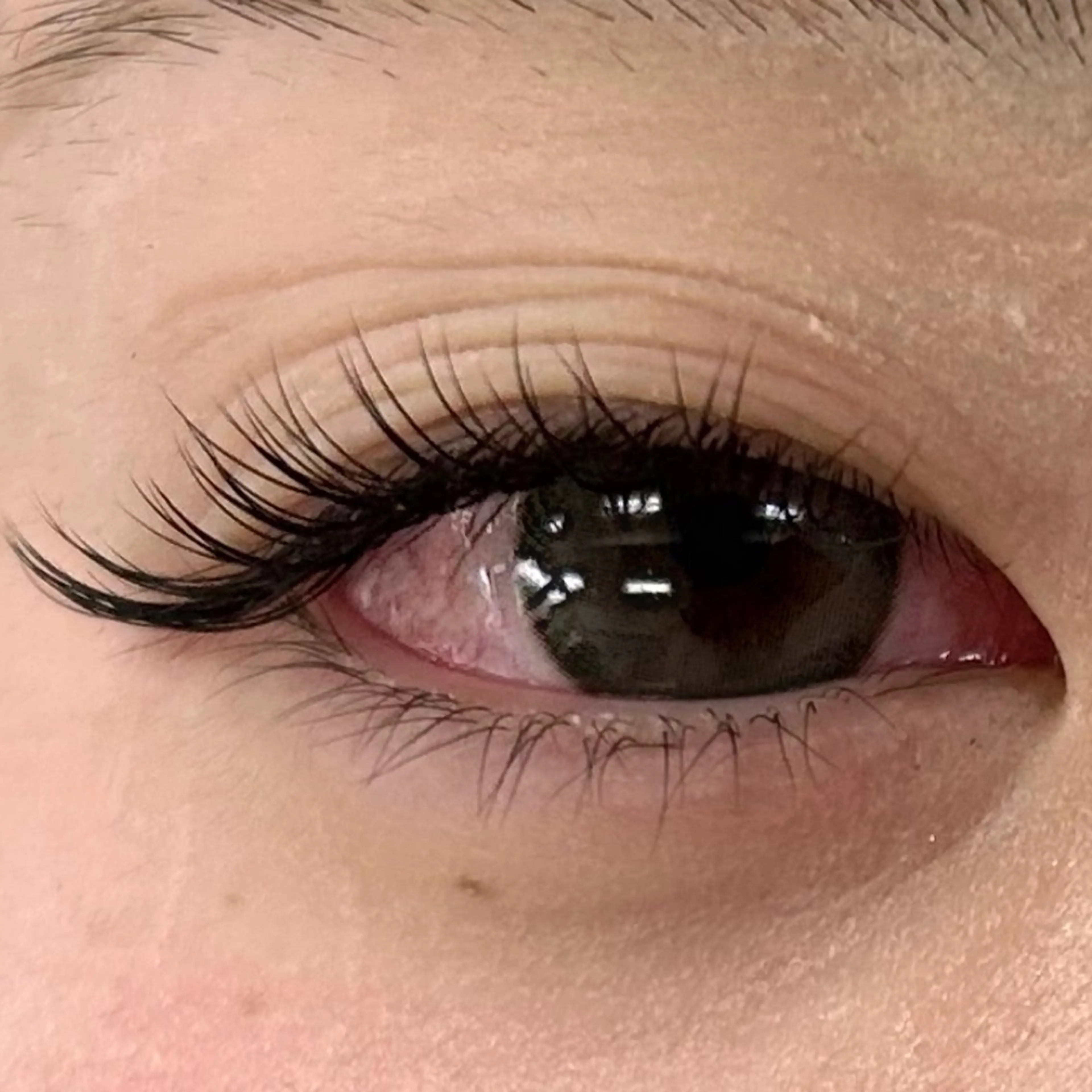 マツエク・マツパ TRU 🎀ANNAのマツエク・マツパデザイン