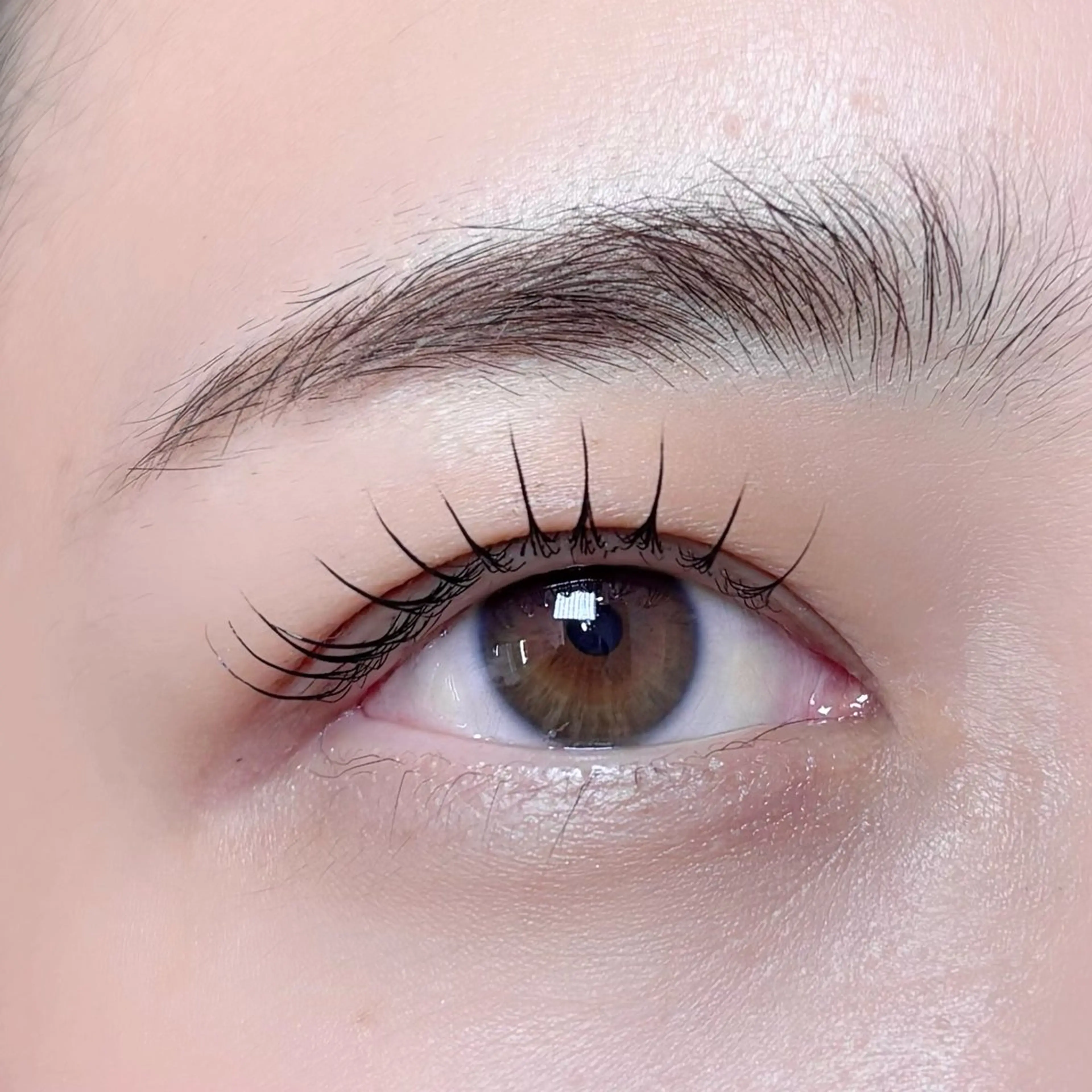 マツエク・マツパ マツパ Seek🎀 Aoiのヘアスタイル