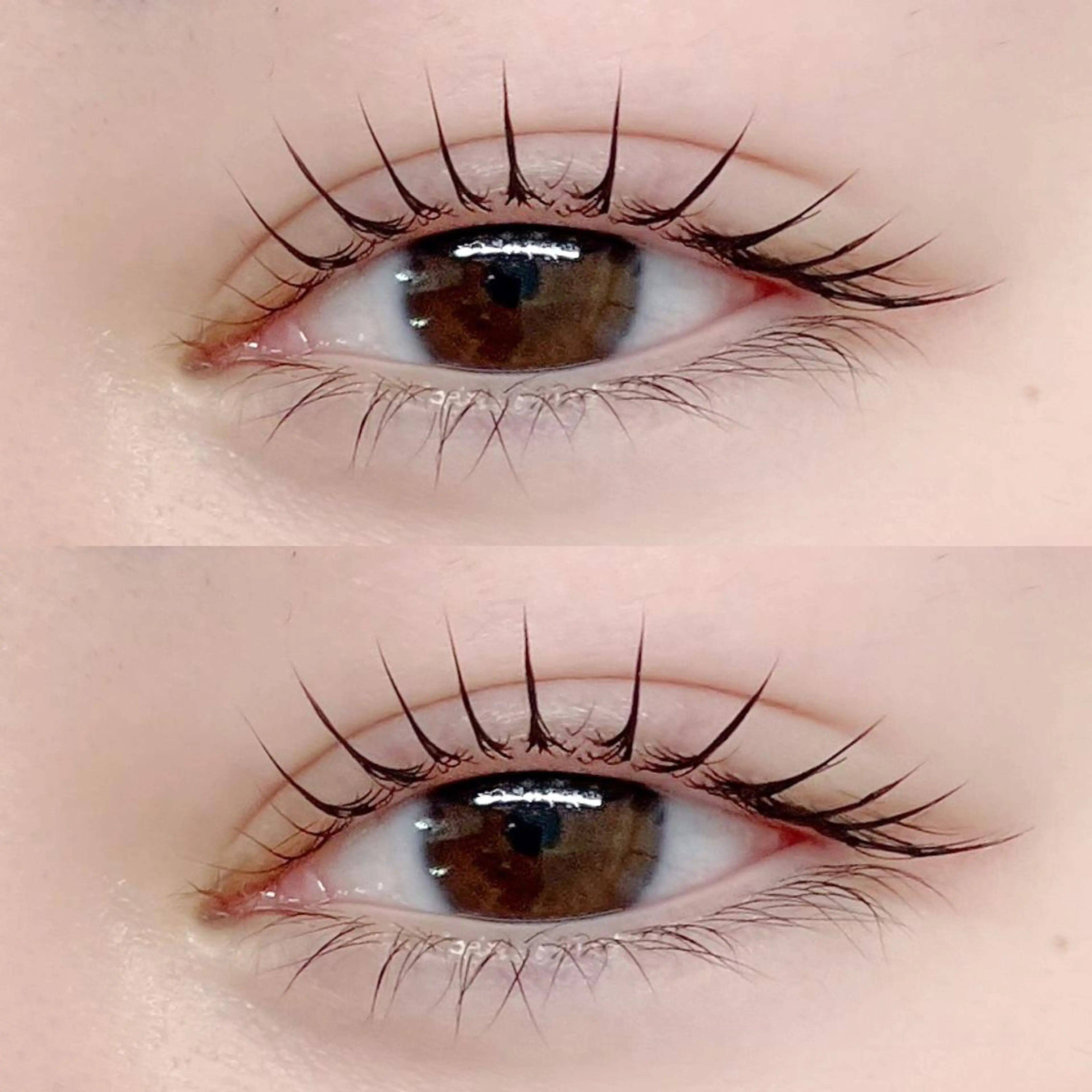 マツエク・マツパ ケラチンラッシュリフト 束感まつ毛 マツパ フジ ワラのマツエク・マツパデザイン