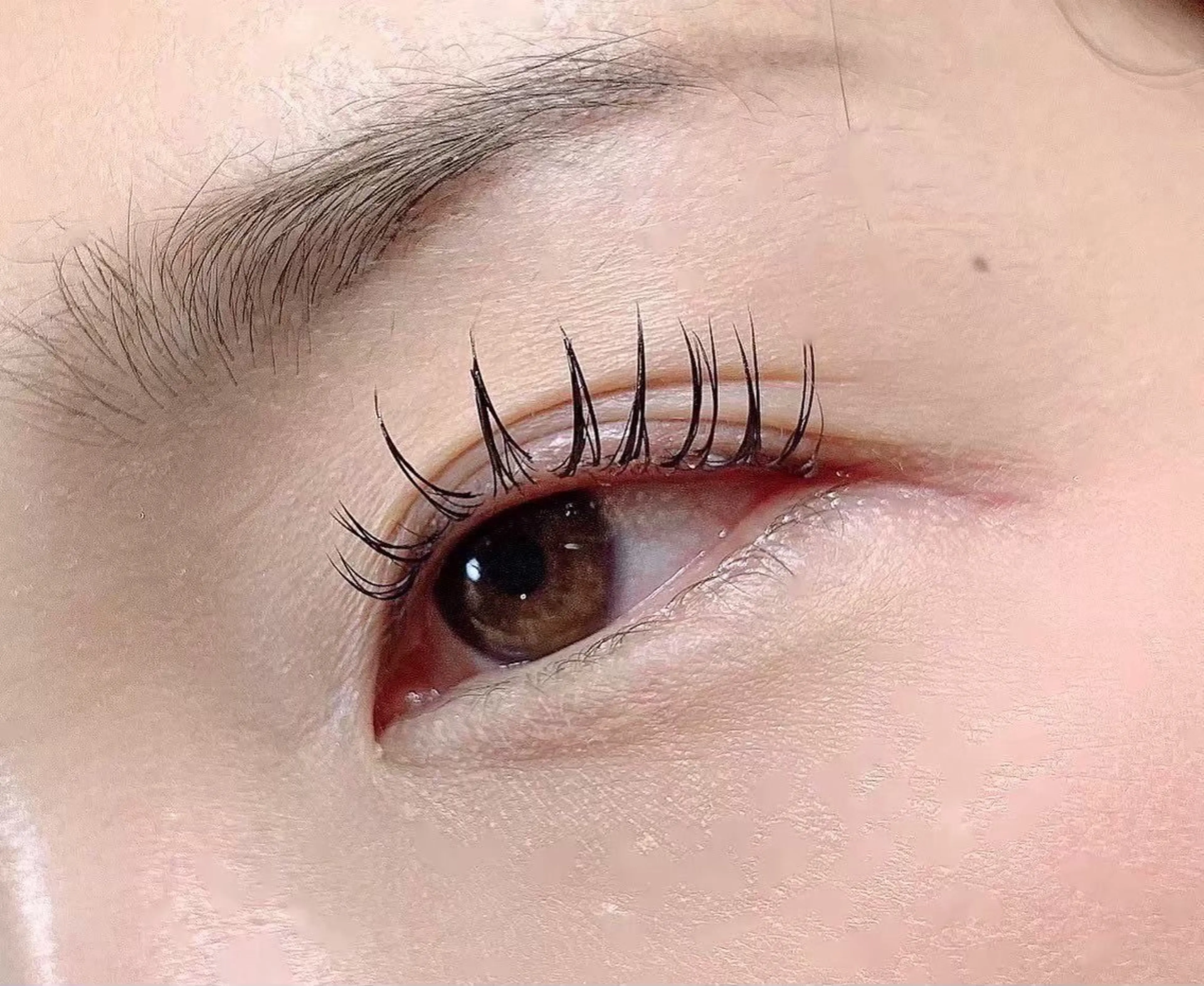 マツエク・マツパ マリーテレジア🩵 しゅい🪽🫧の眉毛・アイブロウイメージ