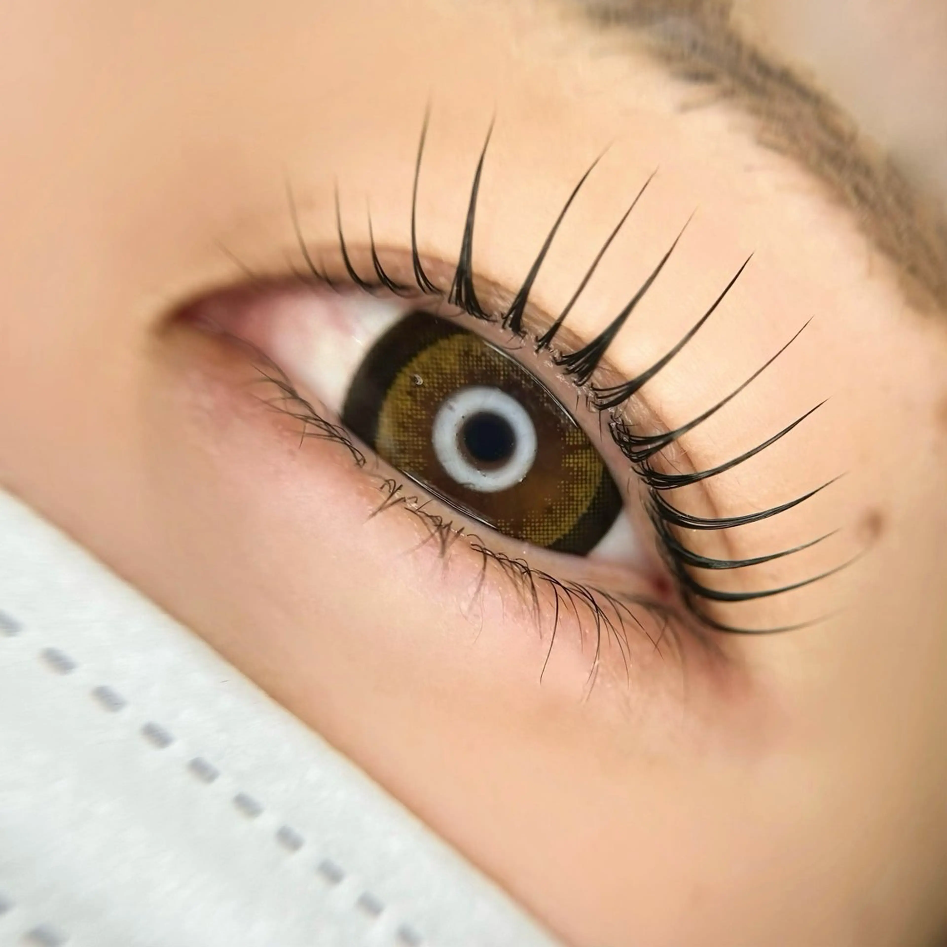 技術向上🔥モデルメニュー🫧🇰🇷✨【韓国式まつ毛パーマ】の写真