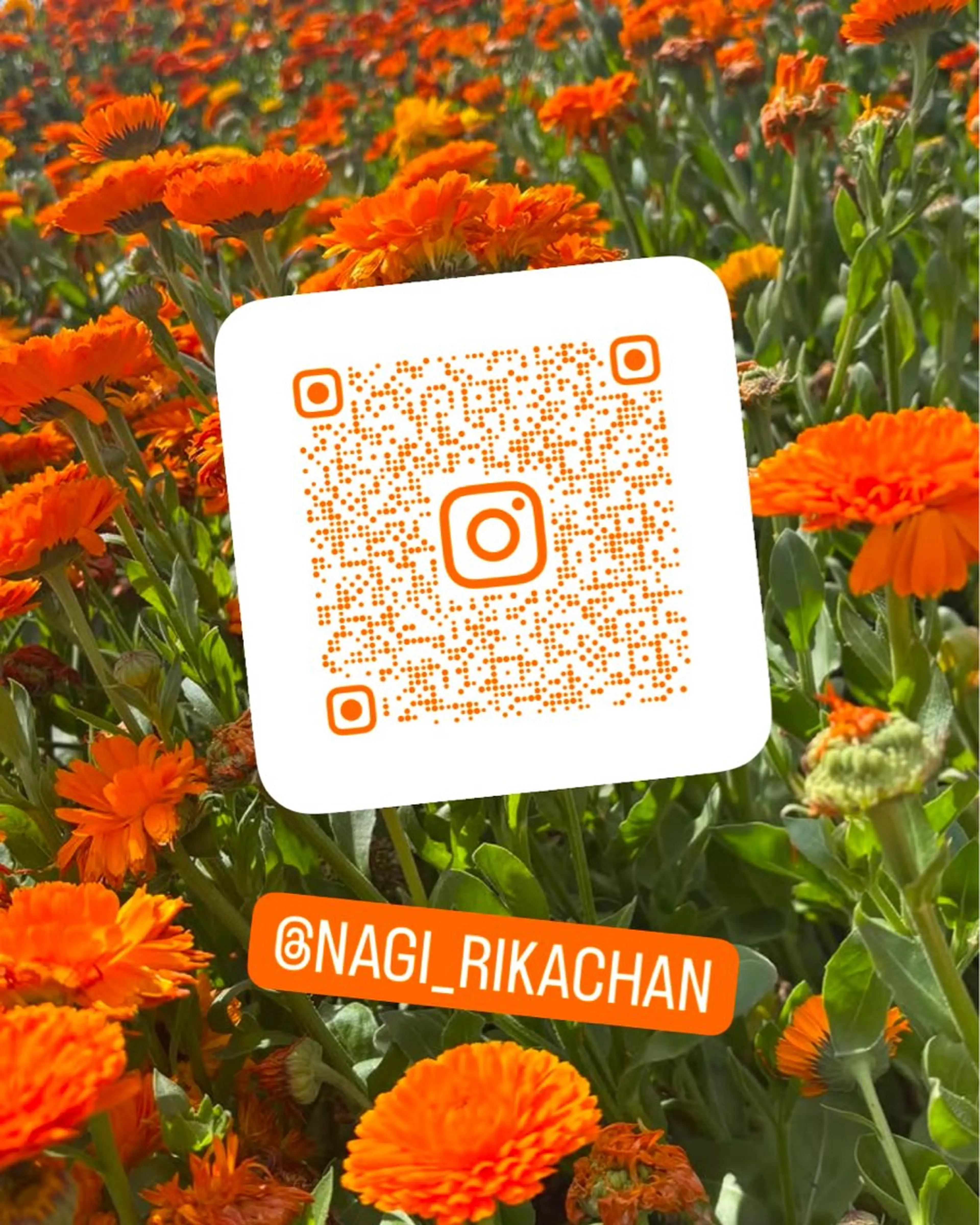 ロング カラー パーマ ban's beauty dream所属・透明感／髪質改善 ／ りかのヘアスタイル