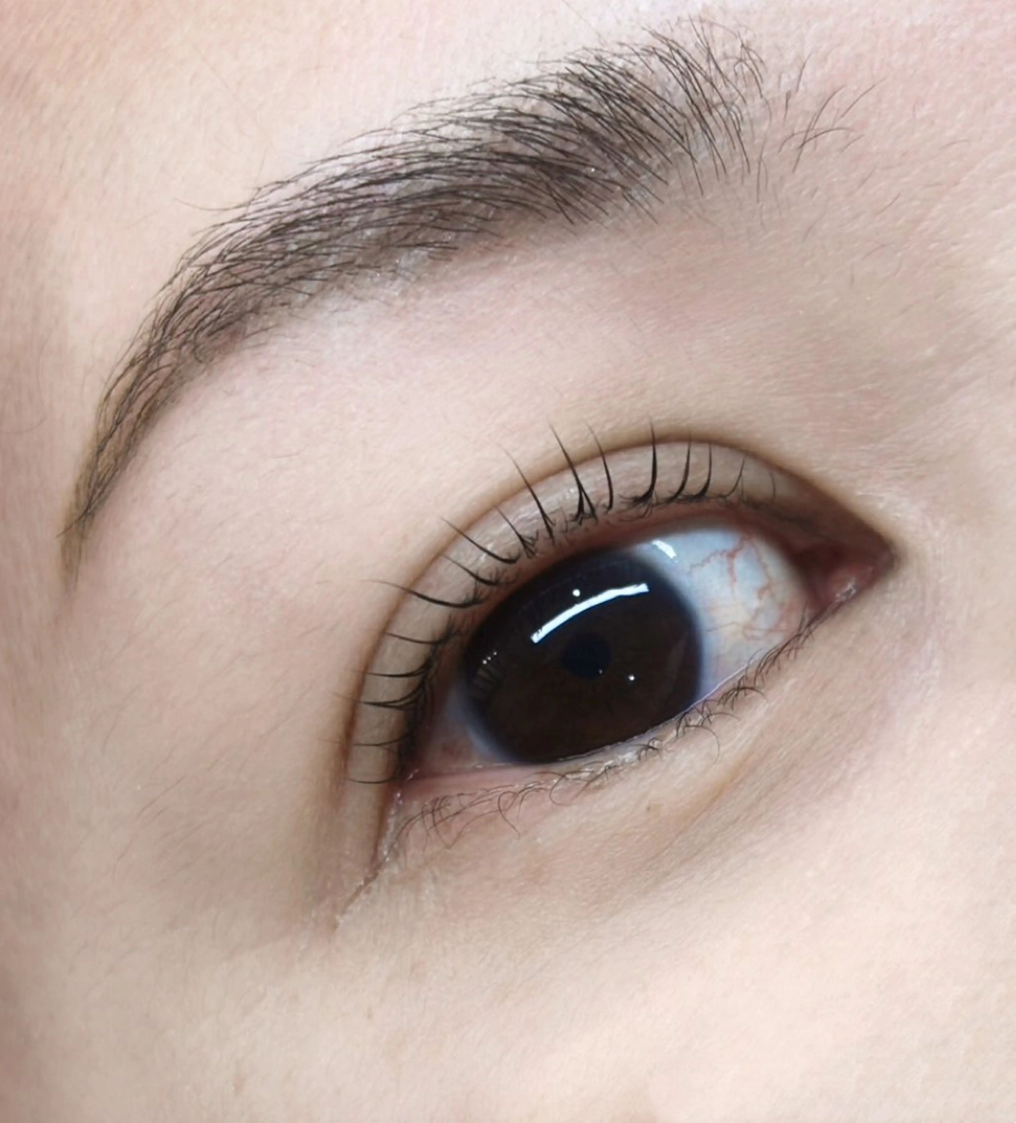 ＼4/1​〜​4/5 期間限定‼️／まつげパーマorパリジェンヌ🫧アイシャンプー／美容液付き🫧コーティング仕上げ🫧の写真